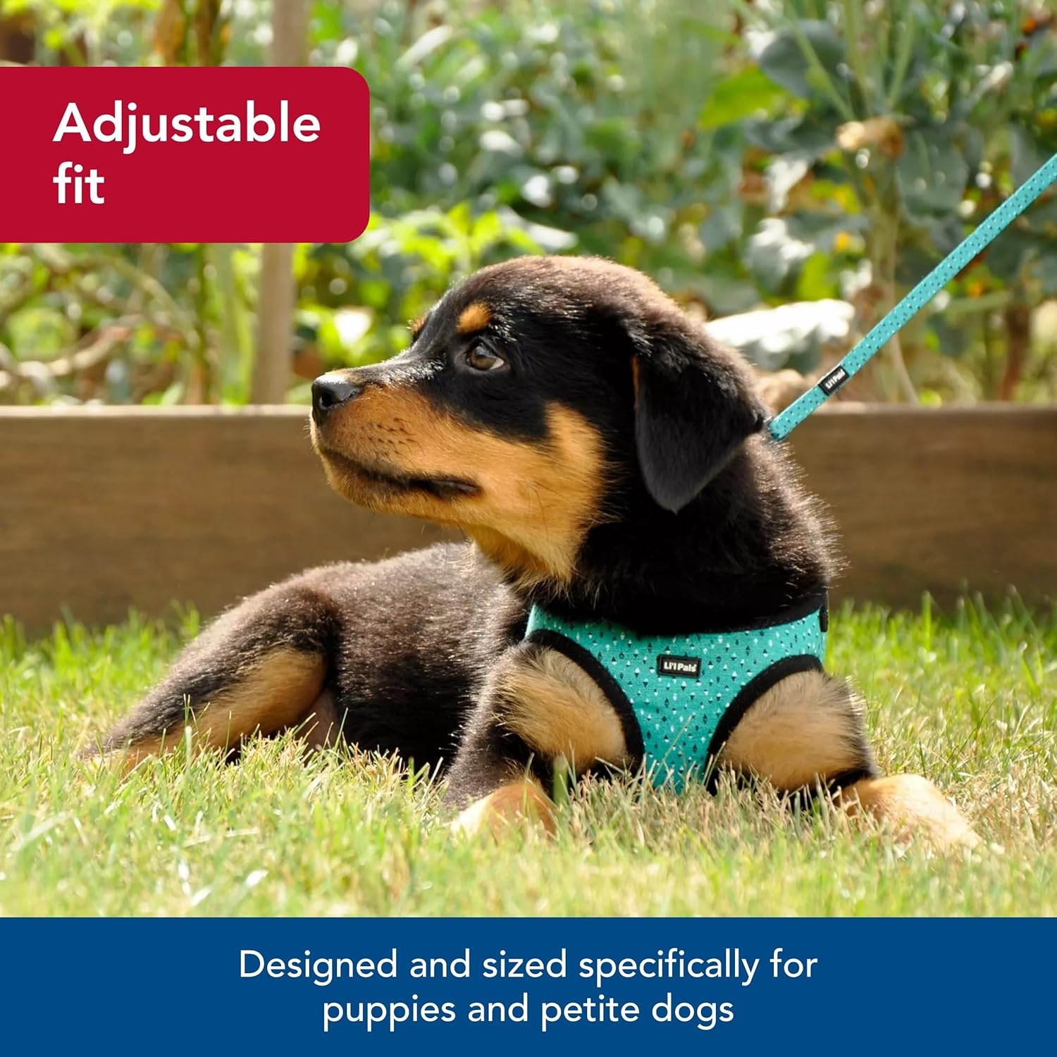 image:imageCoastal Lil Pals Canvas Dog Harness Teal and Grey Diamonds 38 x 1012Dog