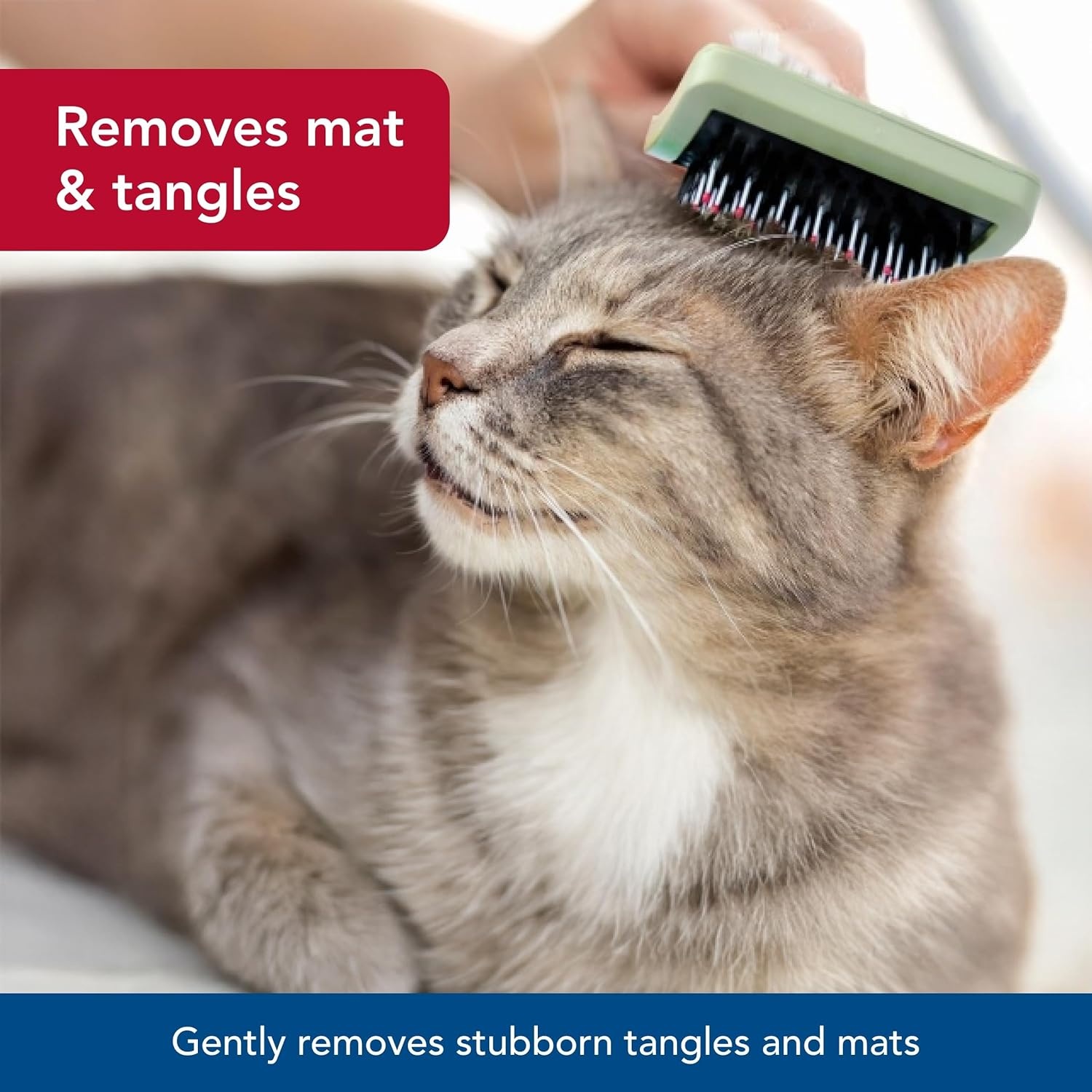 image:imageCoastal Pet Safari Complete Cat Brush No Color One Size 650 L x 30625 W
