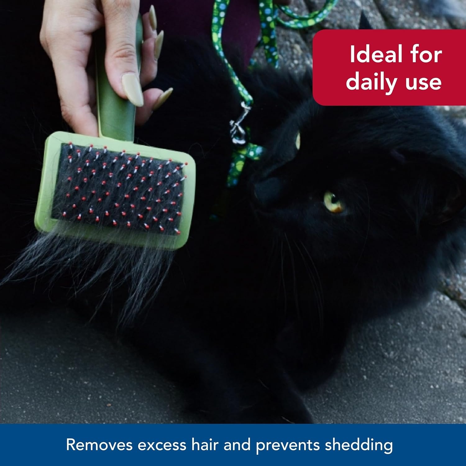 image:imageCoastal Pet Safari Complete Cat Brush No Color One Size 650 L x 30625 W