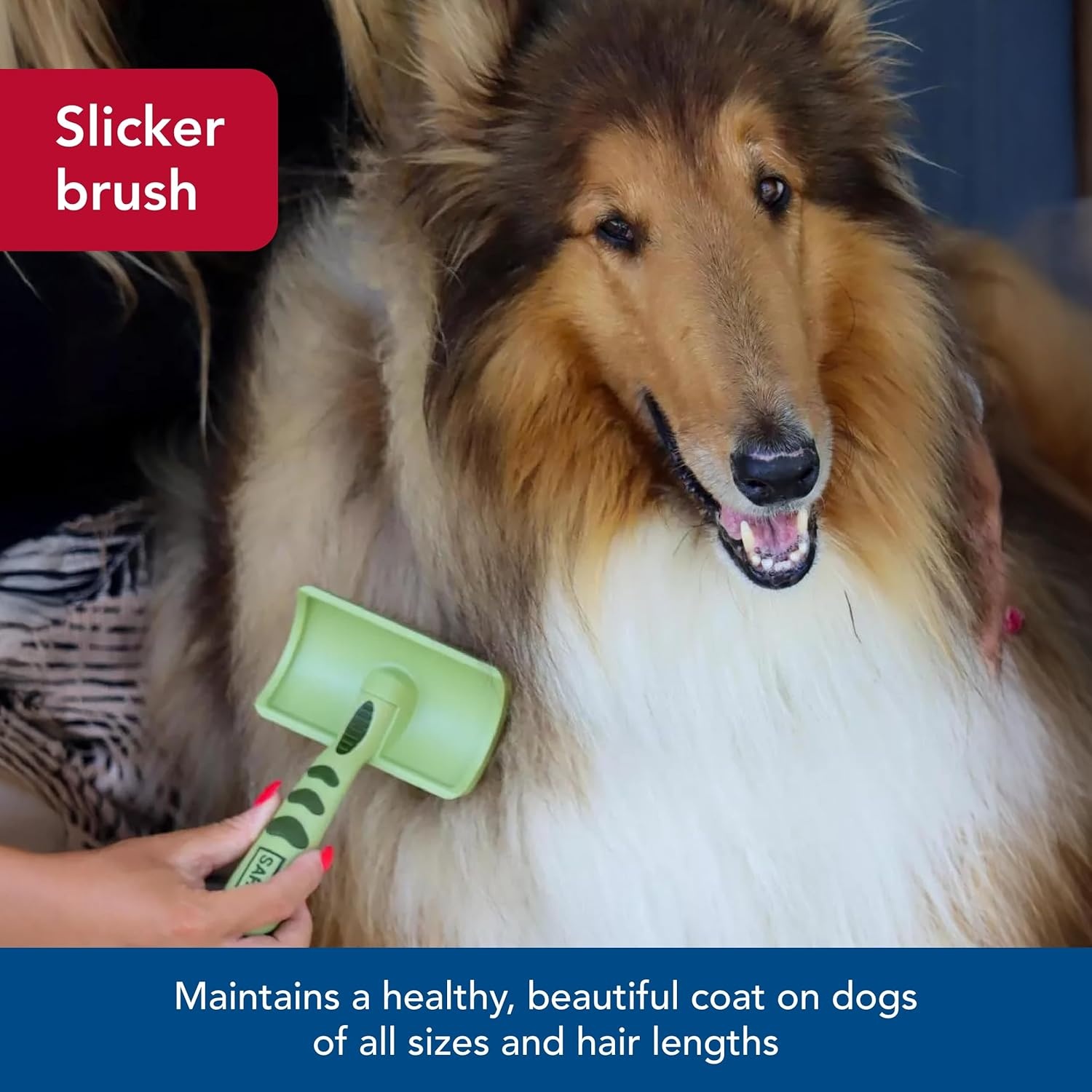 image:imageCoastal Pet Safari Curved Firm Slicker Brush with Coated Tips for Long Hair No Color Medium 65 L x 40625 WMedium 65 L x 40625 W