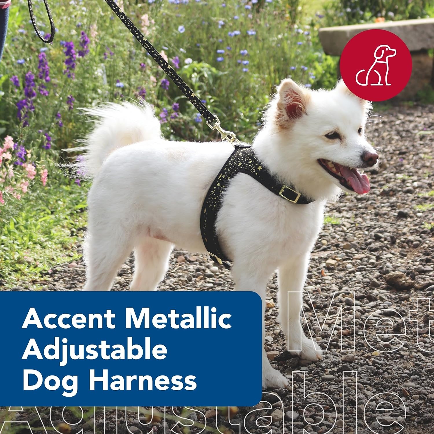image:imageCoastal Pet Accent Metallic Adjustable Dog Harness Adjustable Fit for Comfort with Secure Metal Buckle Durable amp Lightweight Dog Harness Bright Black Galaxy Extra Small 58 x 1416