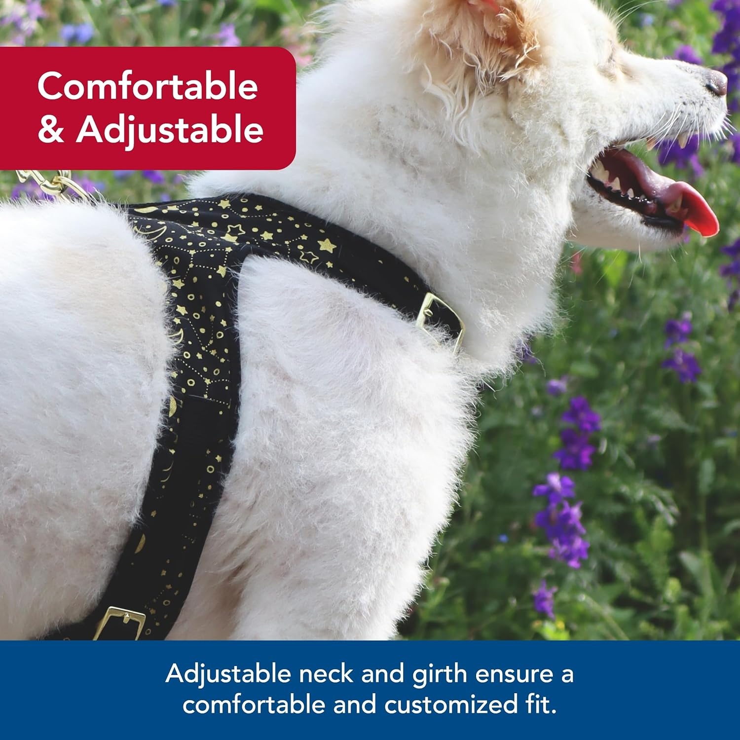 image:imageCoastal Pet Accent Metallic Adjustable Dog Harness Adjustable Fit for Comfort with Secure Metal Buckle Durable amp Lightweight Dog Harness Bright Black Galaxy Extra Small 58 x 1416