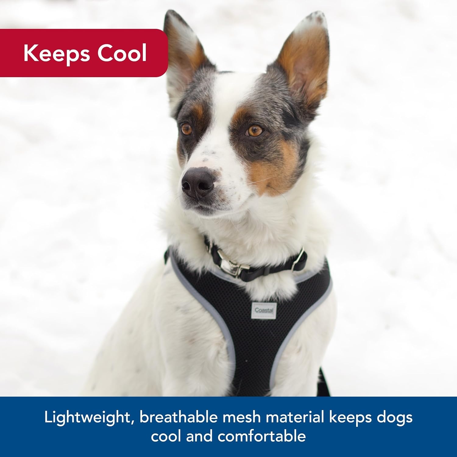 image:imageCoastal Pet Comfort Soft Reflective Wrap Adjustable Dog Harness NoPull Dog Harness for Small amp Large Dogs Purple 34 x 2029Blue Lime Orchid Pink