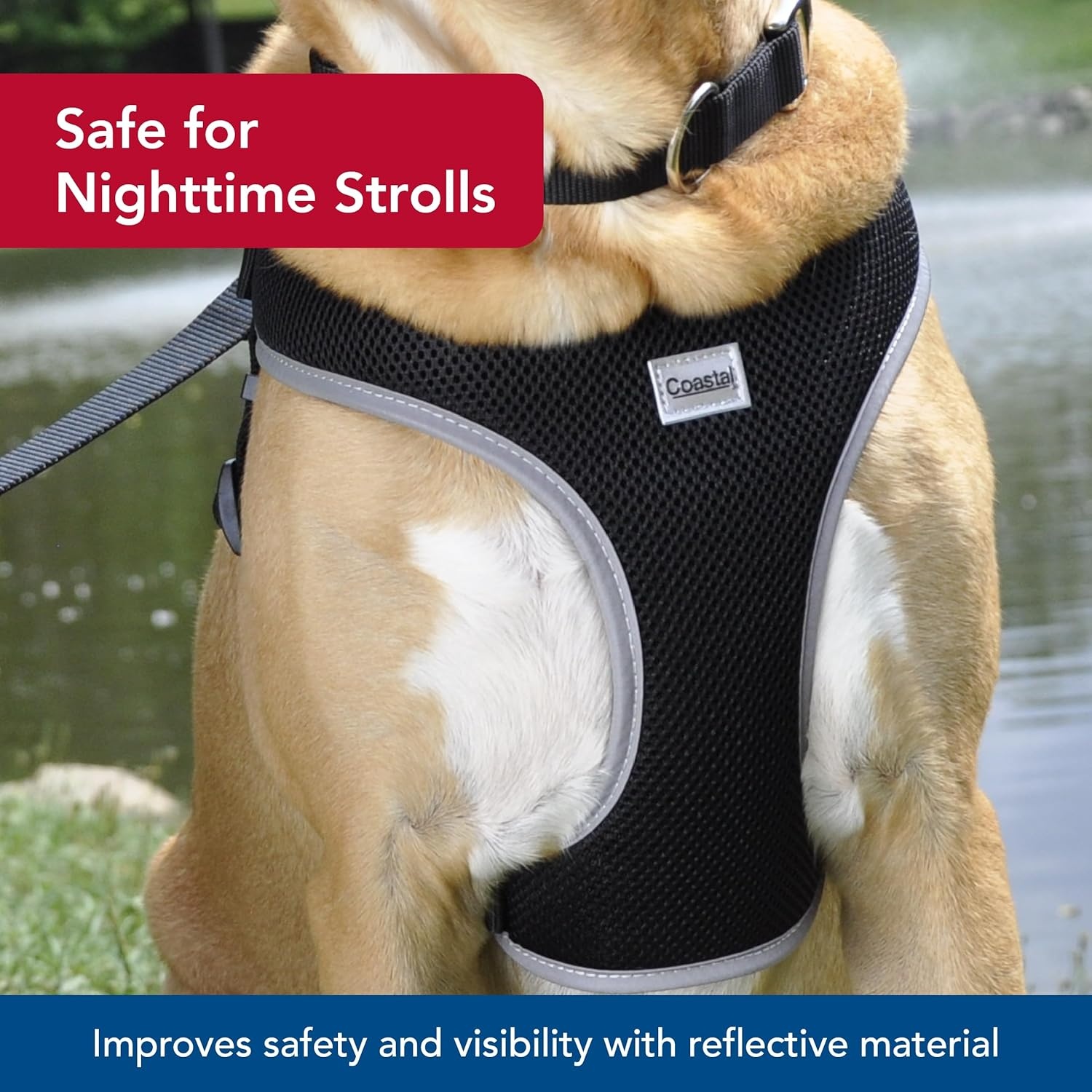 image:imageCoastal Pet Comfort Soft Reflective Wrap Adjustable Dog Harness NoPull Dog Harness for Small amp Large Dogs Purple 34 x 2029Blue Lime Orchid Pink