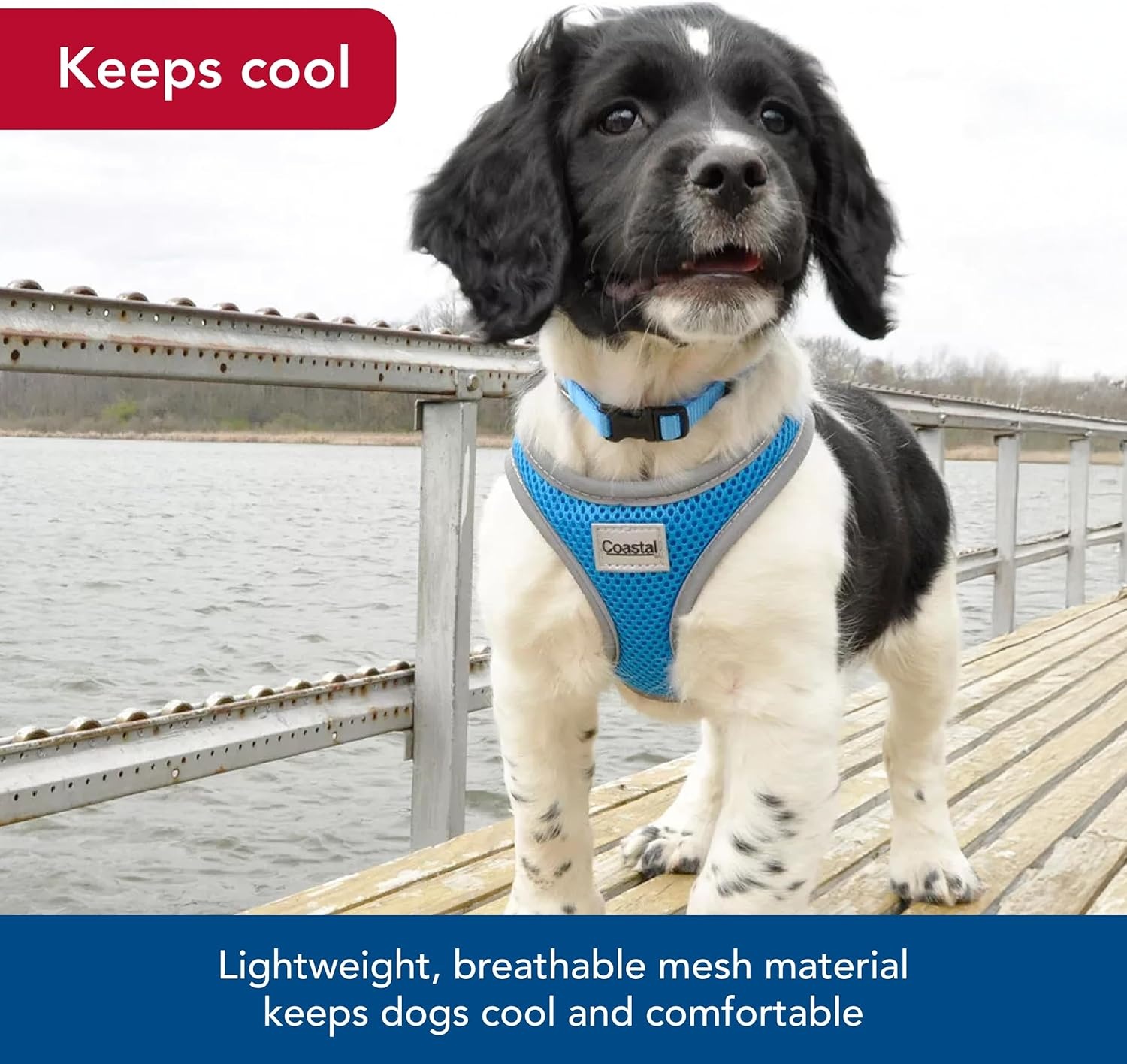 image:imageCoastal Pet Comfort Soft Reflective Wrap Adjustable Dog Harness NoPull Dog Harness for Small amp Large Dogs Purple 34 x 2029Blue Lagoon