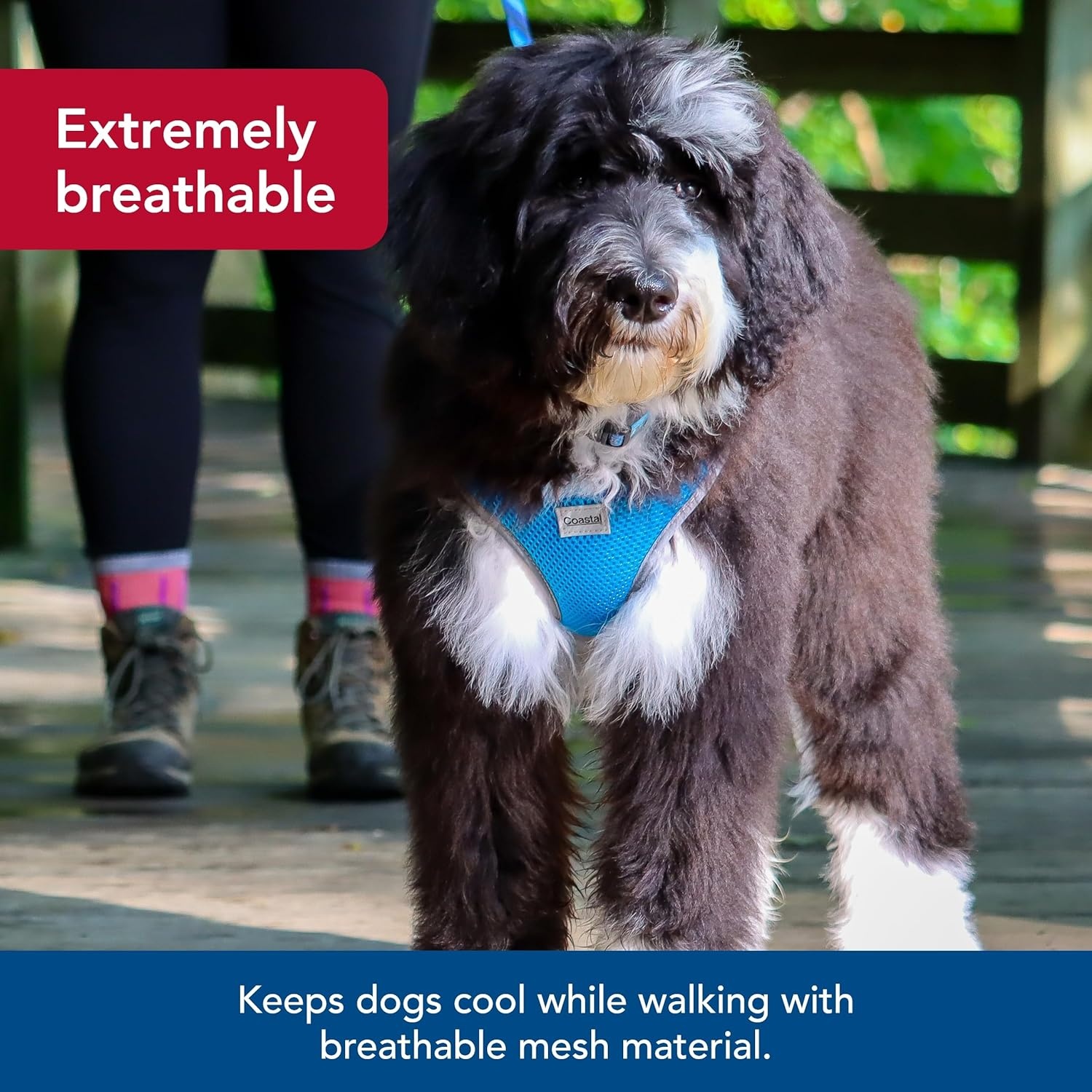 image:imageCoastal Pet Comfort Soft Reflective Wrap Adjustable Dog Harness NoPull Dog Harness for Small amp Large Dogs Purple 34 x 2029Blue Lagoon