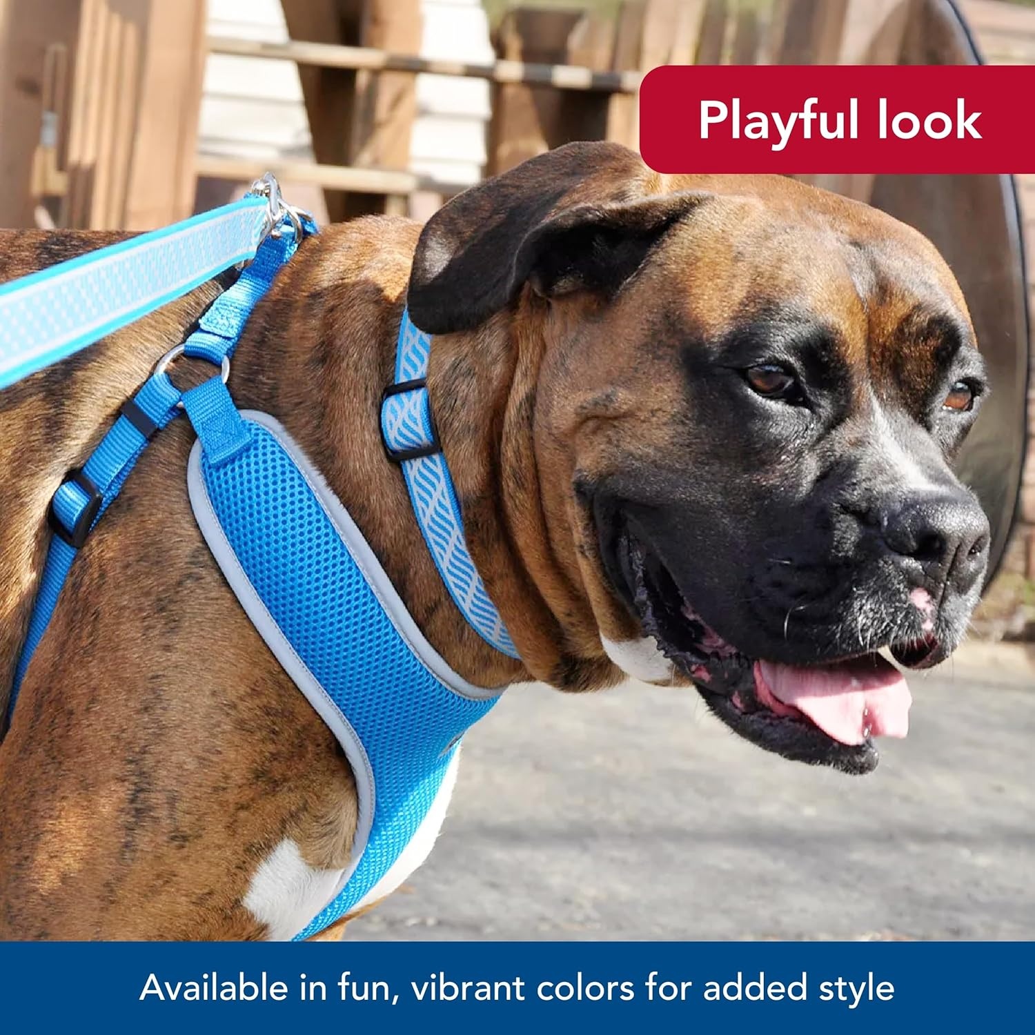 image:imageCoastal Pet Comfort Soft Reflective Wrap Adjustable Dog Harness NoPull Dog Harness for Small amp Large Dogs Purple 34 x 2029Blue Lagoon