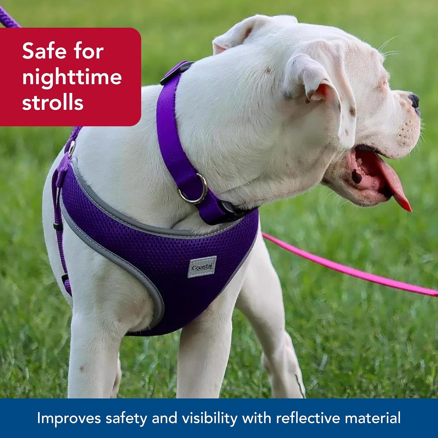 image:imageCoastal Pet Comfort Soft Reflective Wrap Adjustable Dog Harness NoPull Dog Harness for Small amp Large Dogs Purple 34 x 2029Blue Lagoon