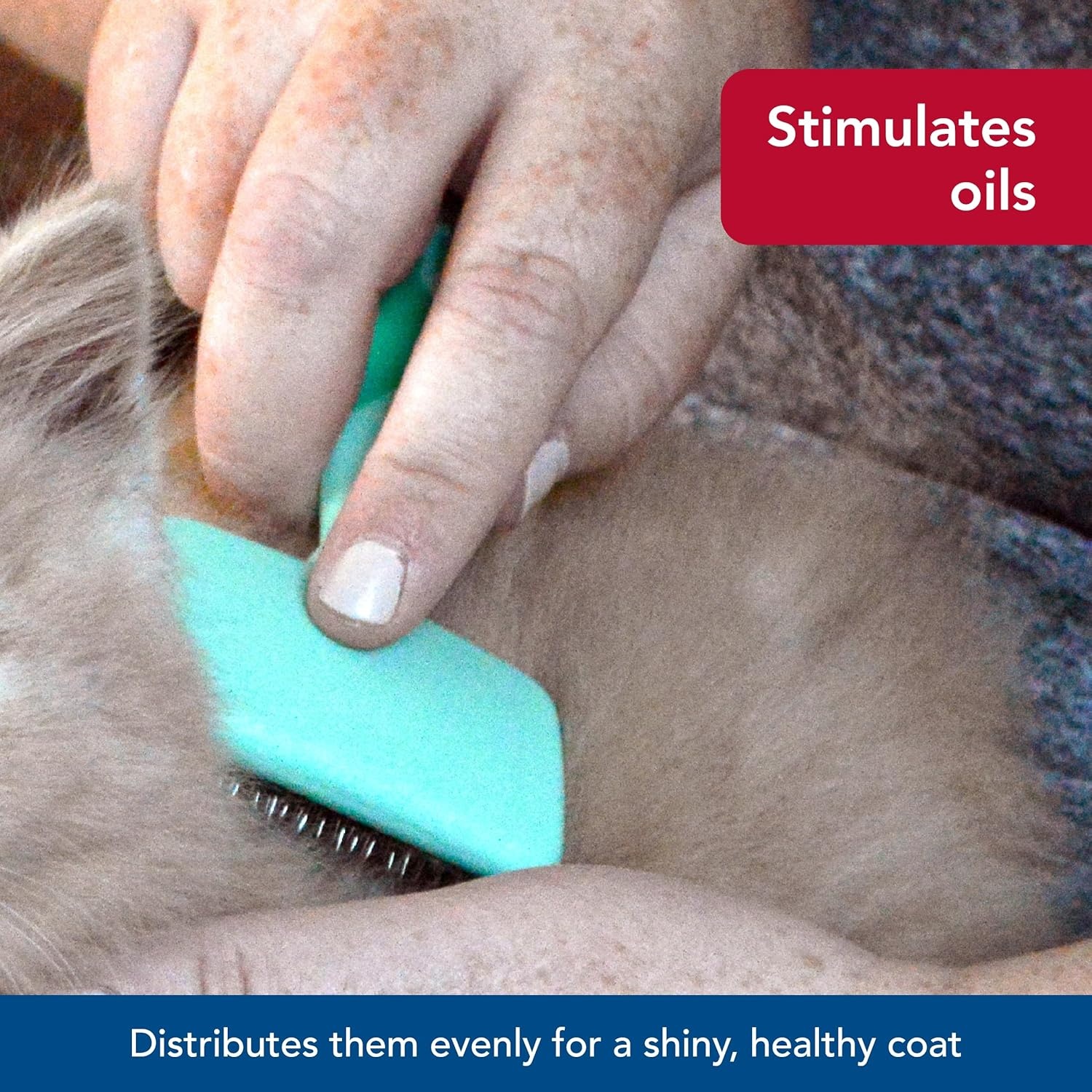 image:imageCoastal Pet Lil Pals Kitten Slicker Brush with Coated Tips