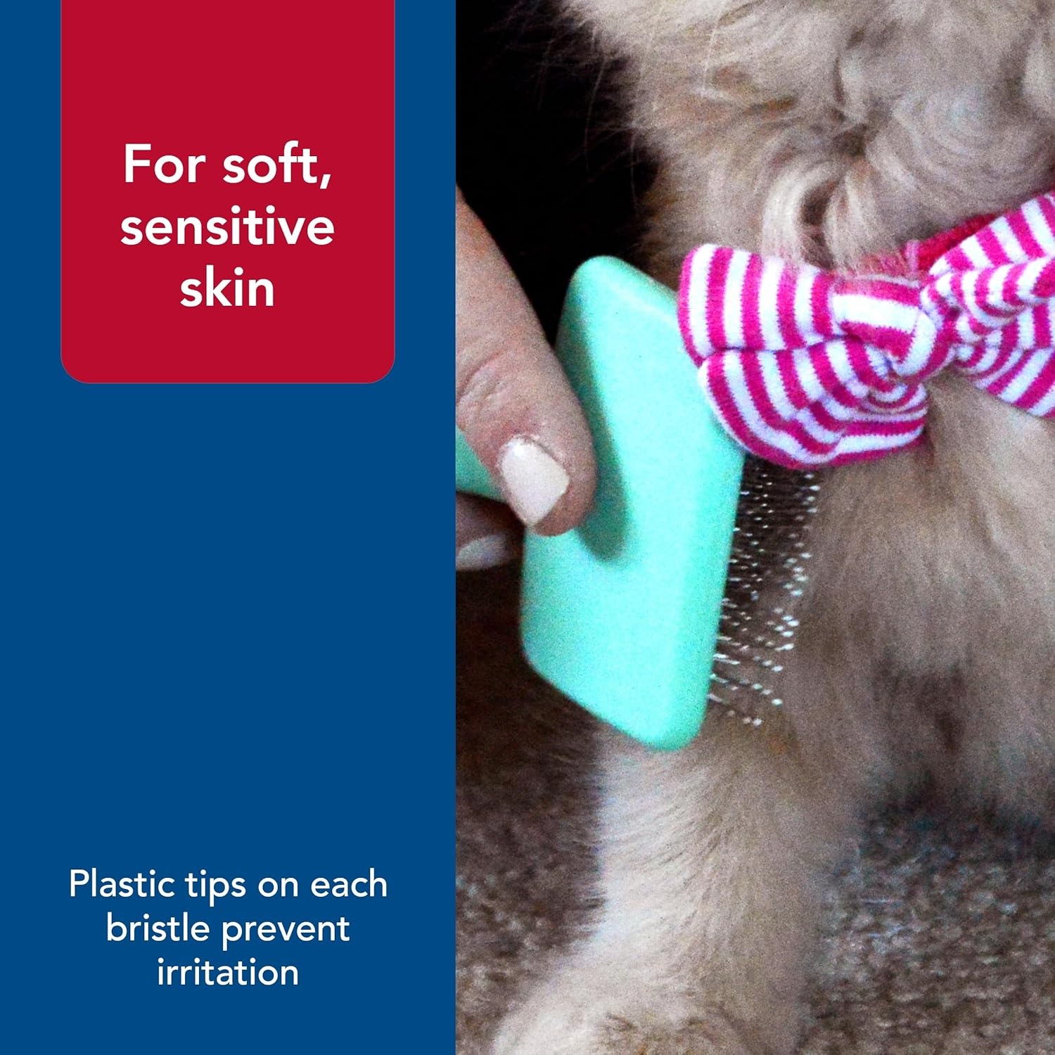image:imageCoastal Pet Lil Pals Kitten Slicker Brush with Coated Tips