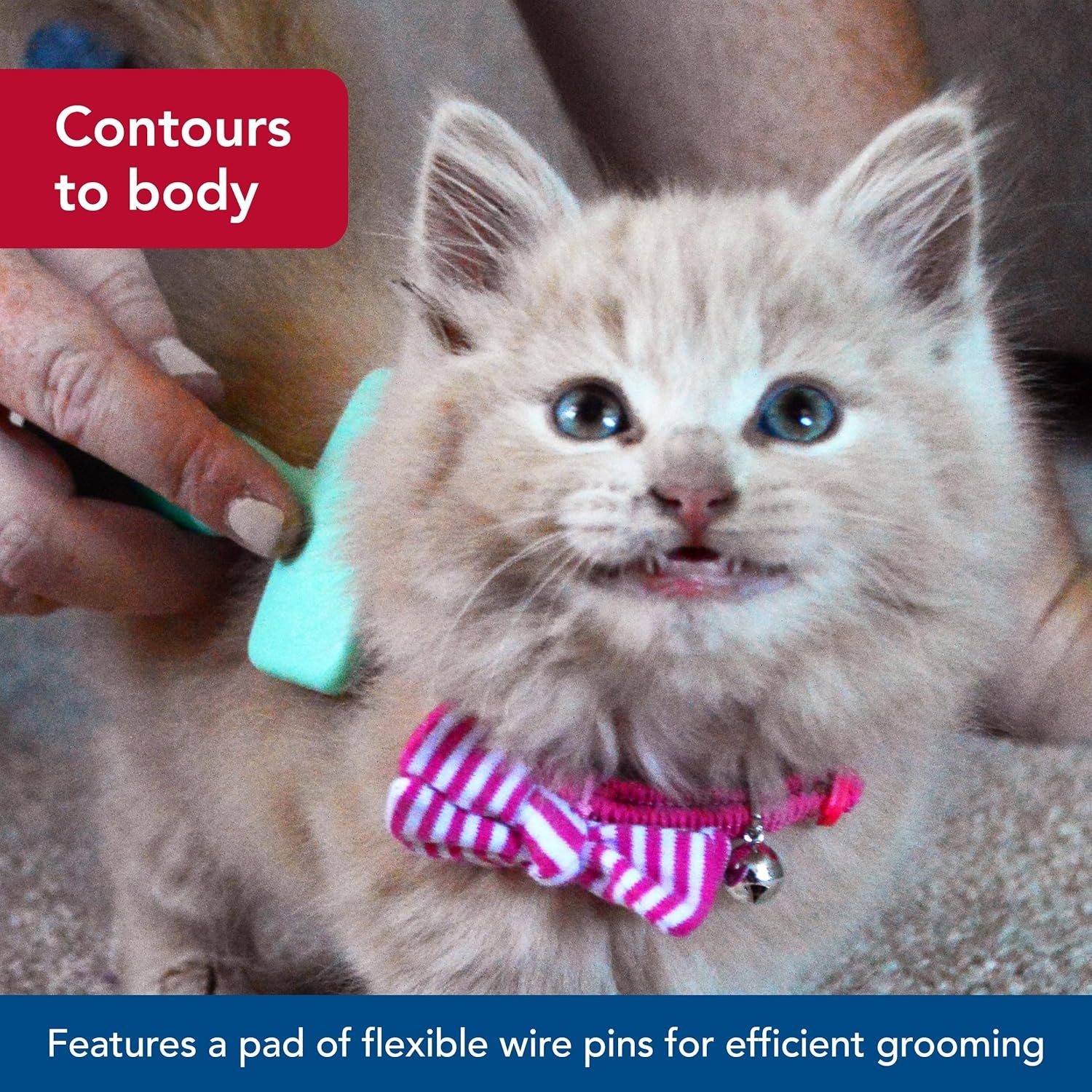 image:imageCoastal Pet Lil Pals Kitten Slicker Brush with Coated Tips
