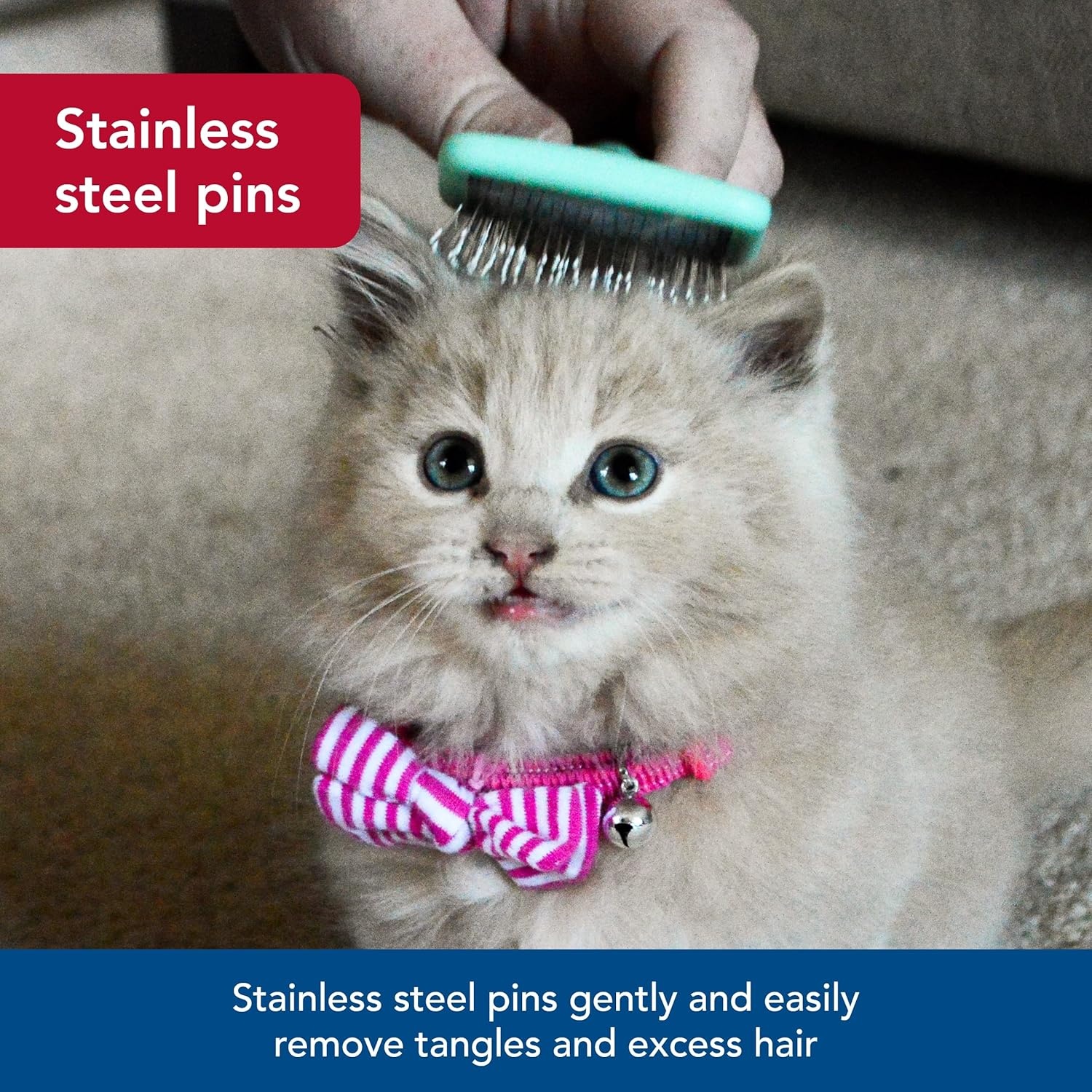 image:imageCoastal Pet Lil Pals Kitten Slicker Brush with Coated Tips