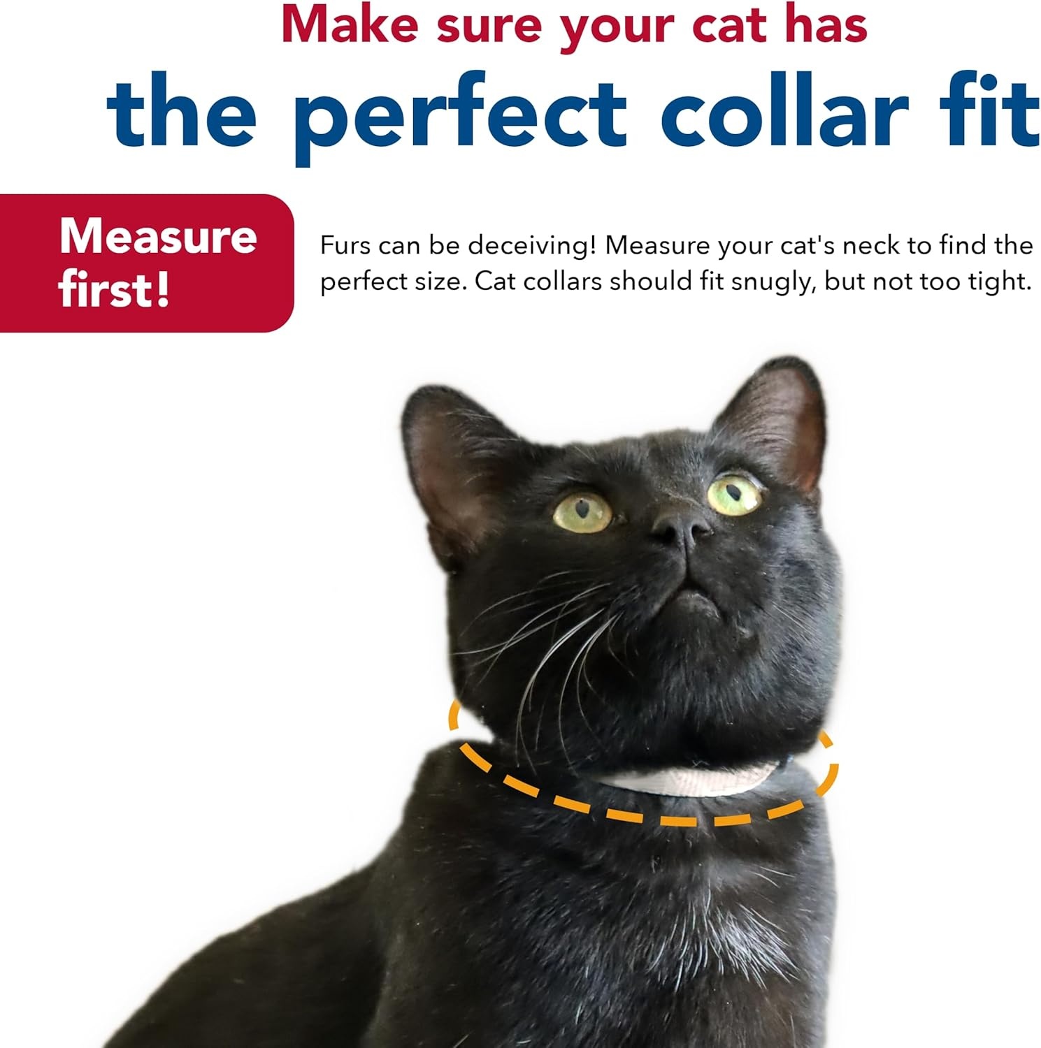image:imageCoastal Pet New Earth Soy Adjustable Breakaway Cat Collar EcoFriendly OdorResistant and Adjustable Cat Collar Olive 38 x 812Indigo