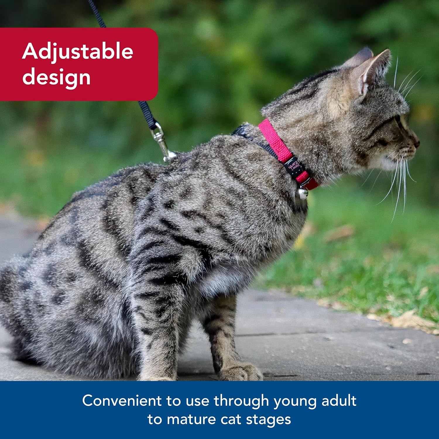 image:imageCoastal Pet New Earth Soy Adjustable Breakaway Cat Collar EcoFriendly OdorResistant and Adjustable Cat Collar Olive 38 x 812Indigo