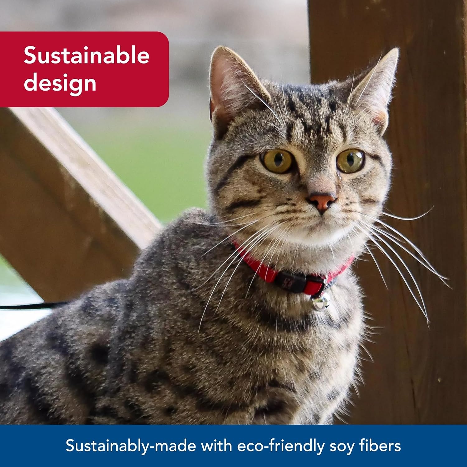 image:imageCoastal Pet New Earth Soy Adjustable Breakaway Cat Collar EcoFriendly OdorResistant and Adjustable Cat Collar Olive 38 x 812Pumpkin
