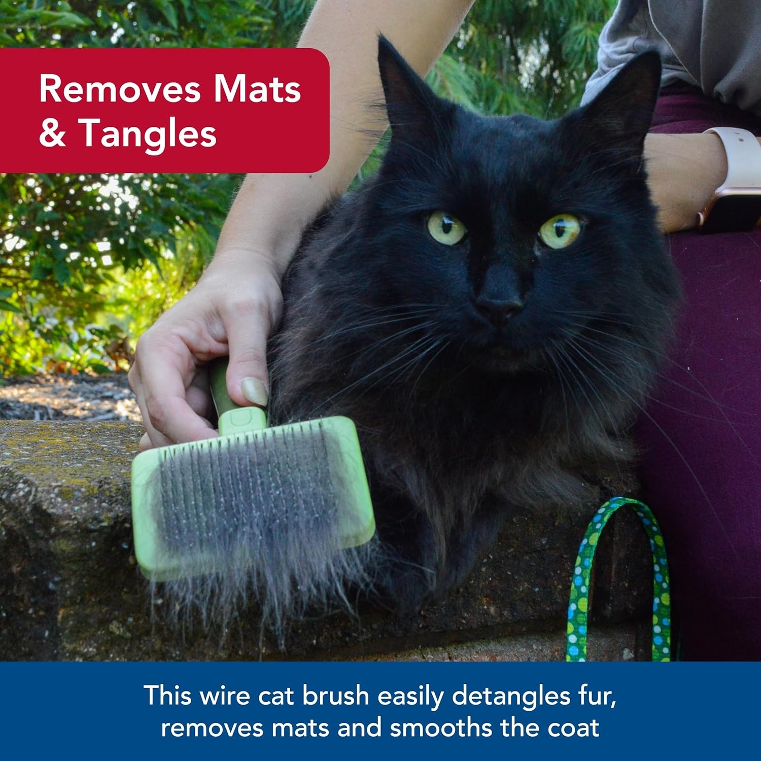 image:imageCoastal Pet Safari Cat SelfCleaning Slicker Brush Cat Grooming SuppliesPack of 1
