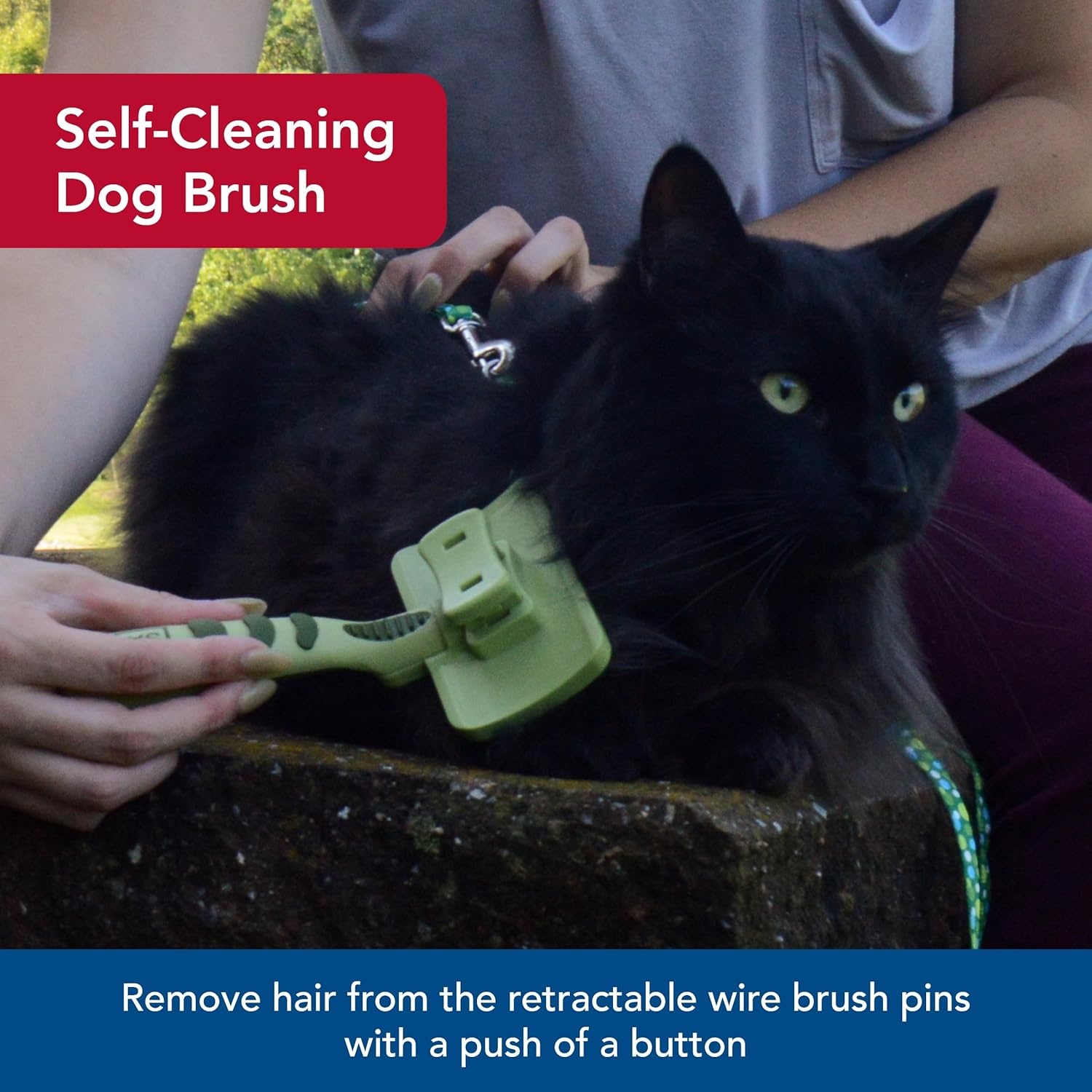 image:imageCoastal Pet Safari Cat SelfCleaning Slicker Brush Cat Grooming SuppliesPack of 1