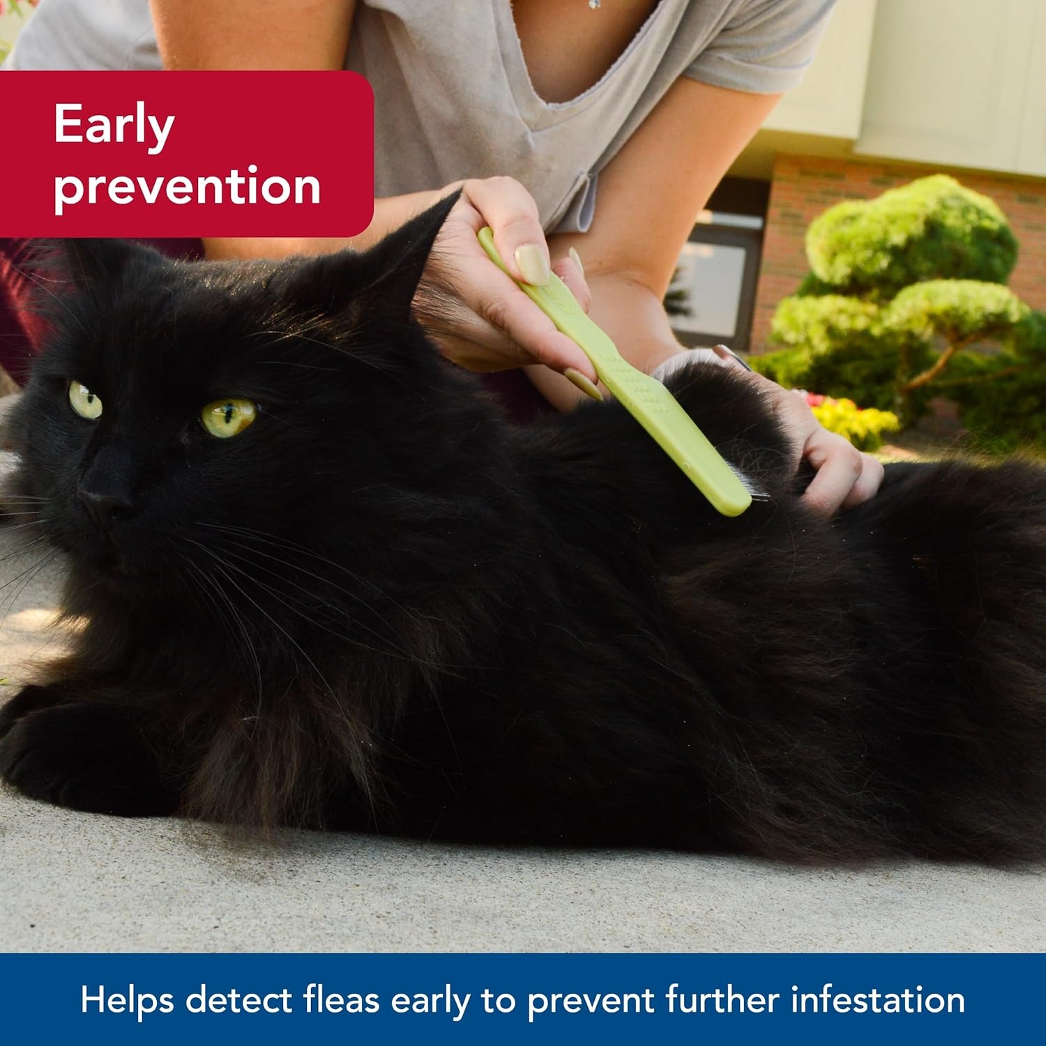 image:imageCoastal Pet Safari Cat Flea Comb Tick amp Flea Comb for Cats Avoid Dry Skin One Size
