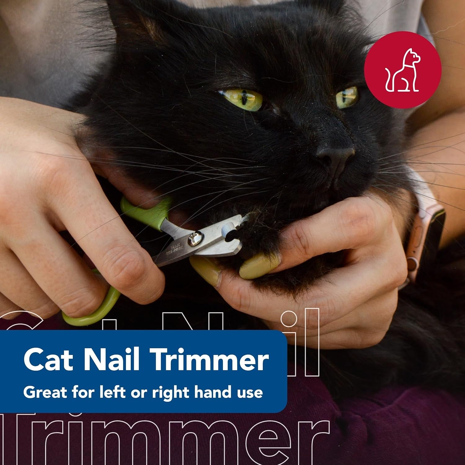 image:imageCoastal Pet Safari Cat Nail Trimmer Double Guillotine SingleSnip Kitten Cat Bunny amp Pet Nail Clippers Left or RightHanded Scissors One Size