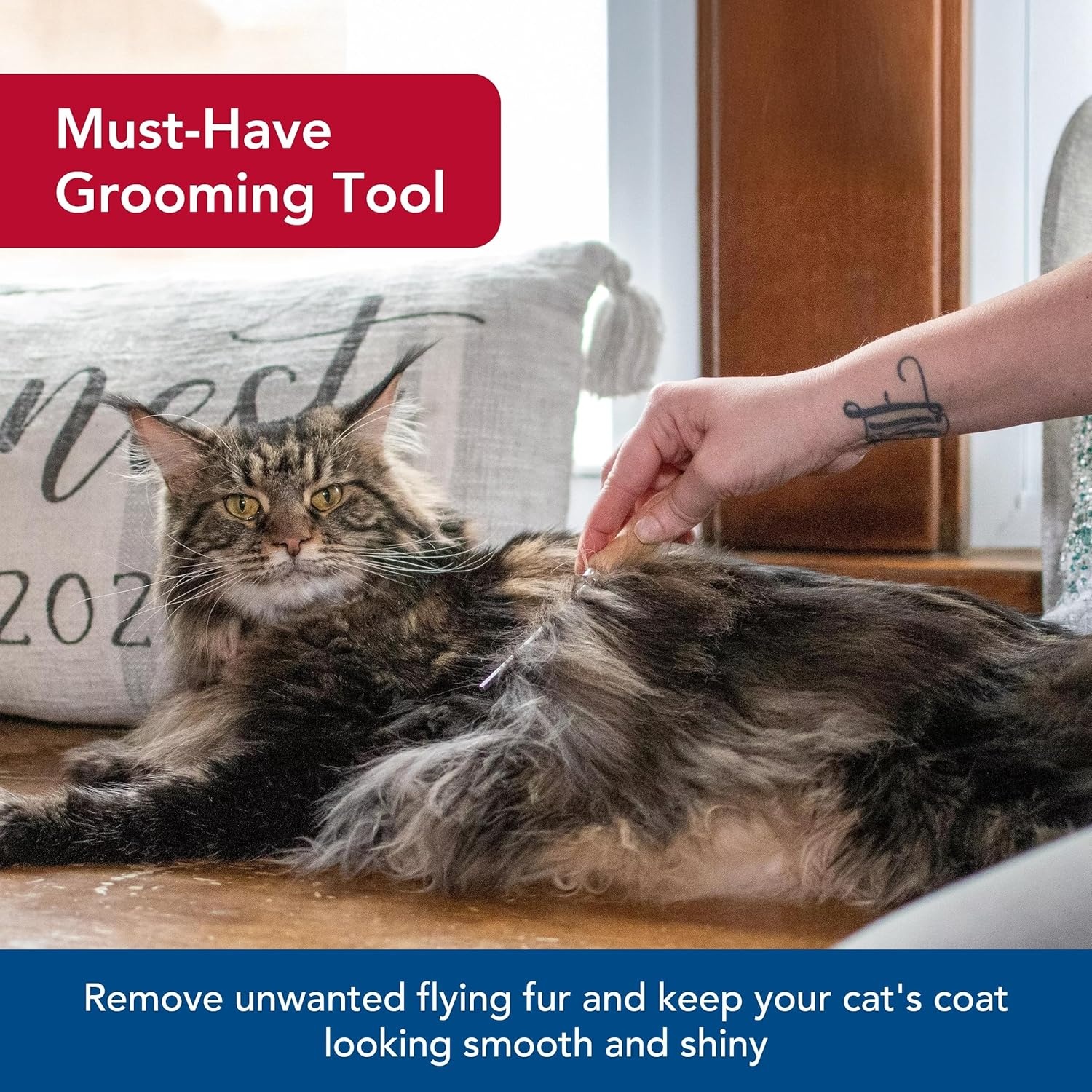 image:imageCoastal Pet Safari Cat Shedding Comb Prevents Hairballs DailyUse Cat Deshedding Brush for Cats with Short and Long Hair One Size