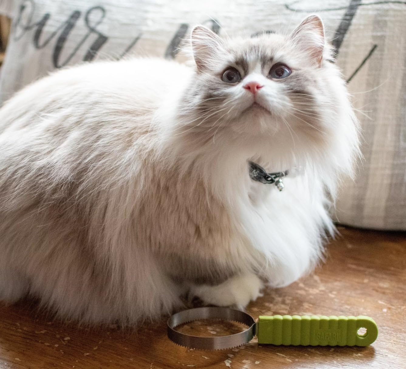 image:imageCoastal Pet Stainless Steel Safari Cat Shedding Blade Cat Hair Removal Brush Pet Grooming Tool to Prevent Hairballs 75 x 3