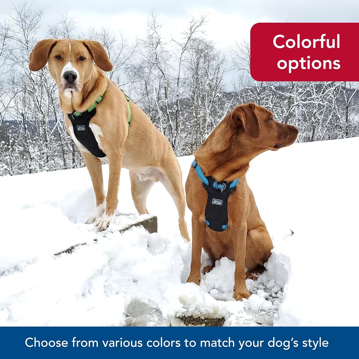image:imageCoastal K9 Explorer Brights Reflective FrontConnect Harness Meadow 1 x 2030Canyon