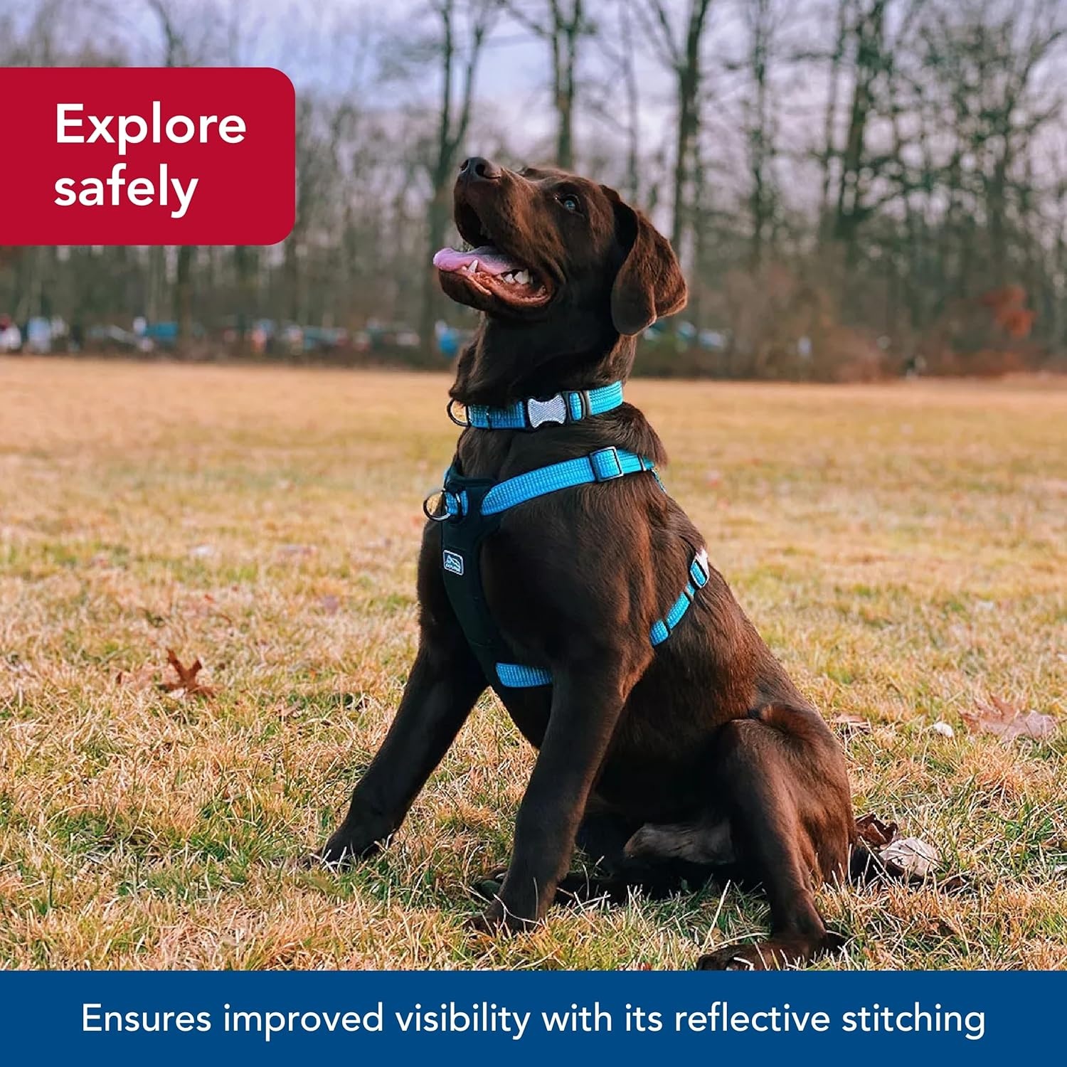 image:imageCoastal K9 Explorer Brights Reflective FrontConnect Harness Meadow 1 x 2030Desert
