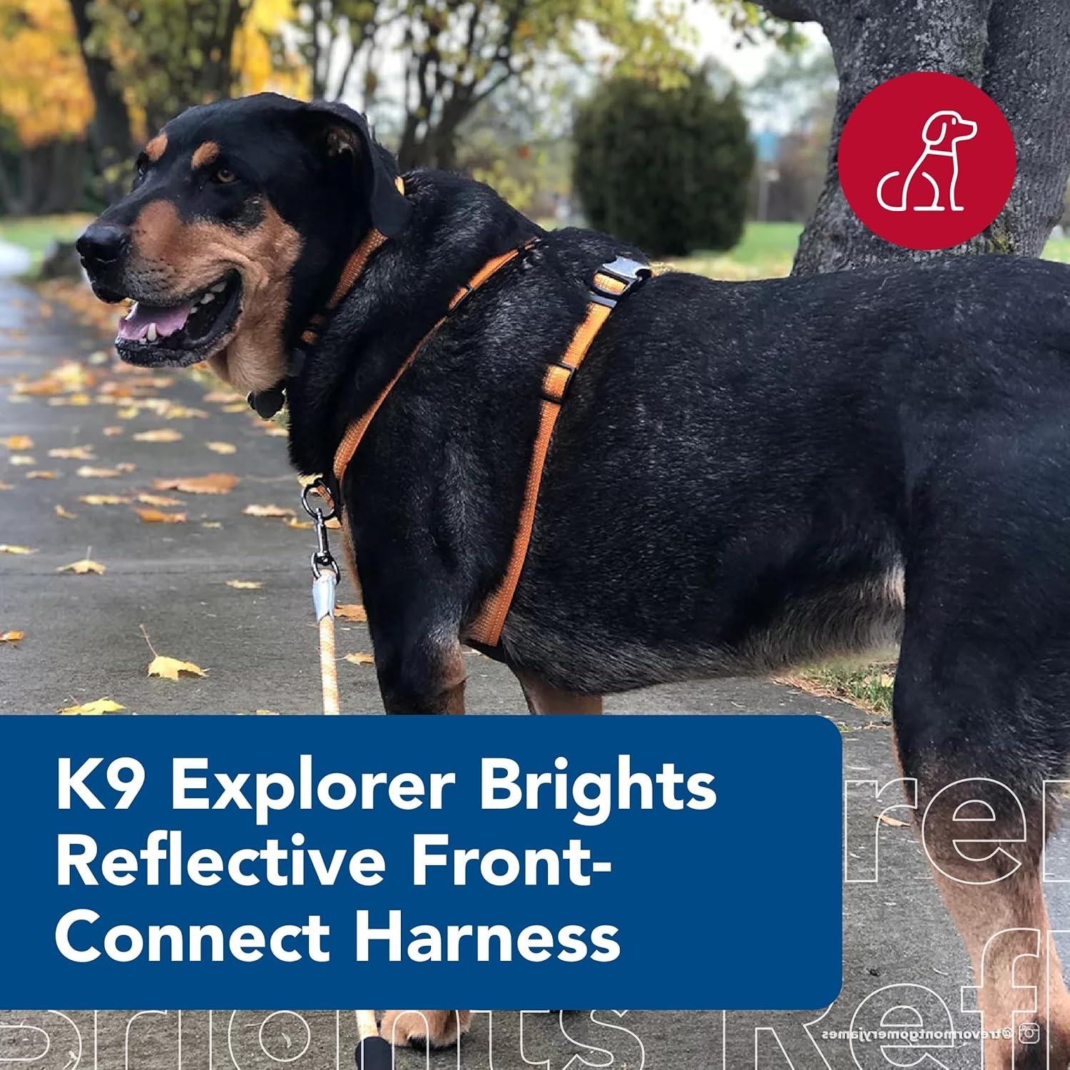 image:imageCoastal K9 Explorer Brights Reflective FrontConnect Harness Meadow 1 x 2030Lake