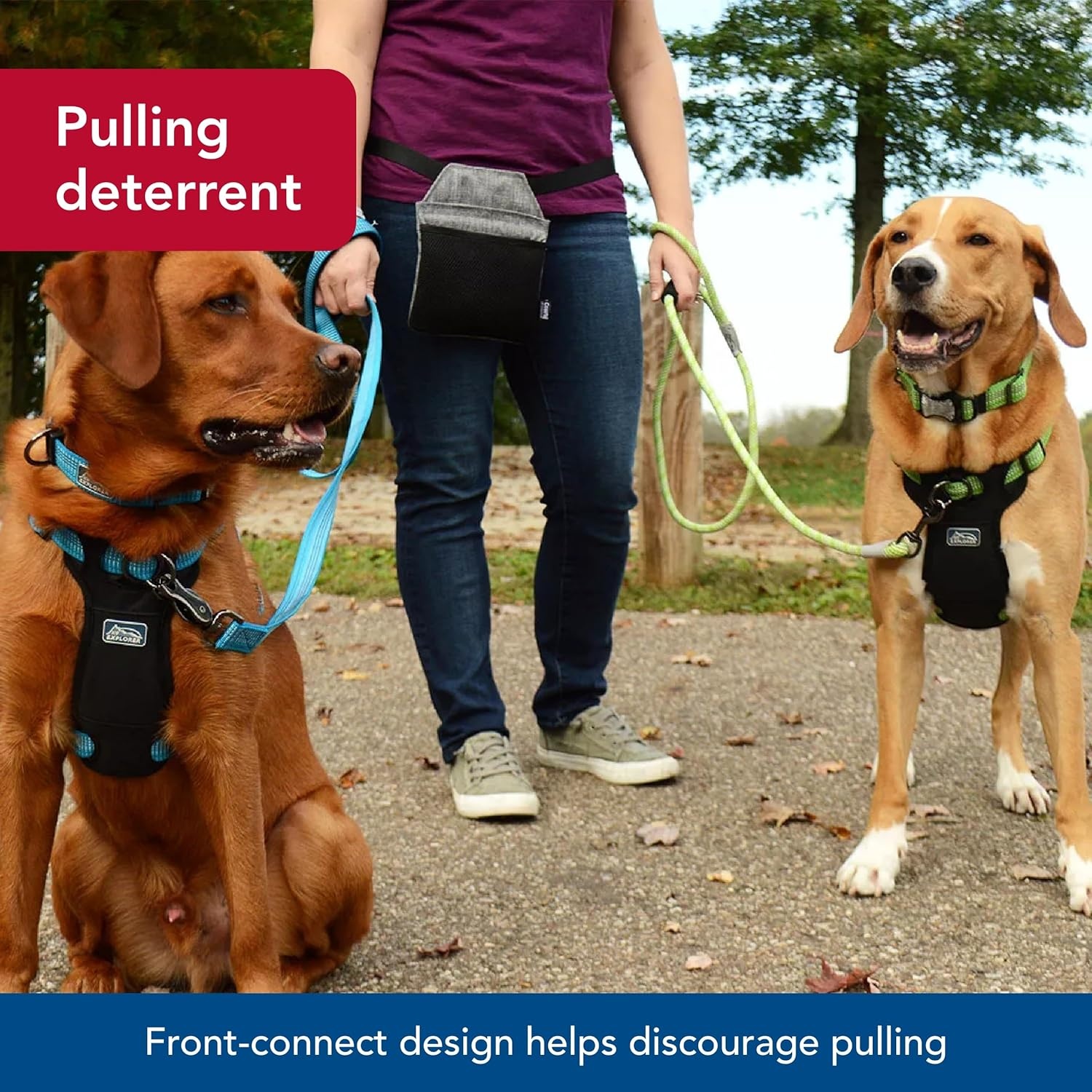 image:imageCoastal K9 Explorer Brights Reflective FrontConnect Harness Meadow 1 x 2030Mountain