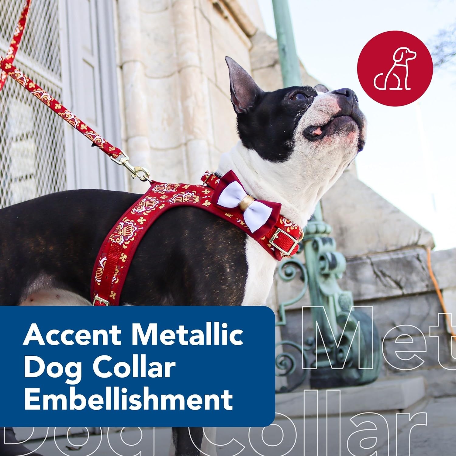 image:imageCoastal Pet Accent Metallic Dog Collar Embellishment One Size Green BowtieBurgundy Bow