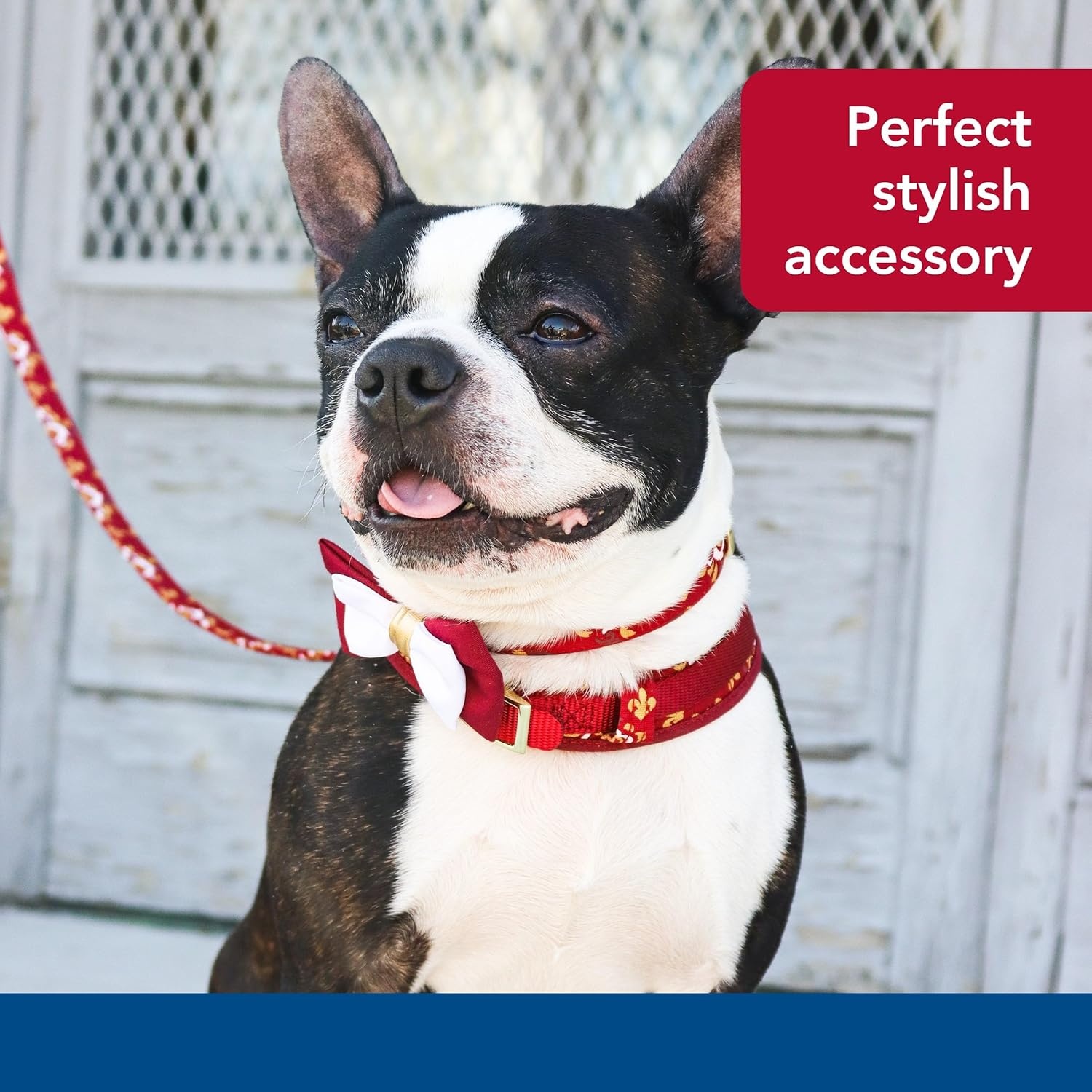 image:imageCoastal Pet Accent Metallic Dog Collar Embellishment One Size Green BowtieBurgundy Bow