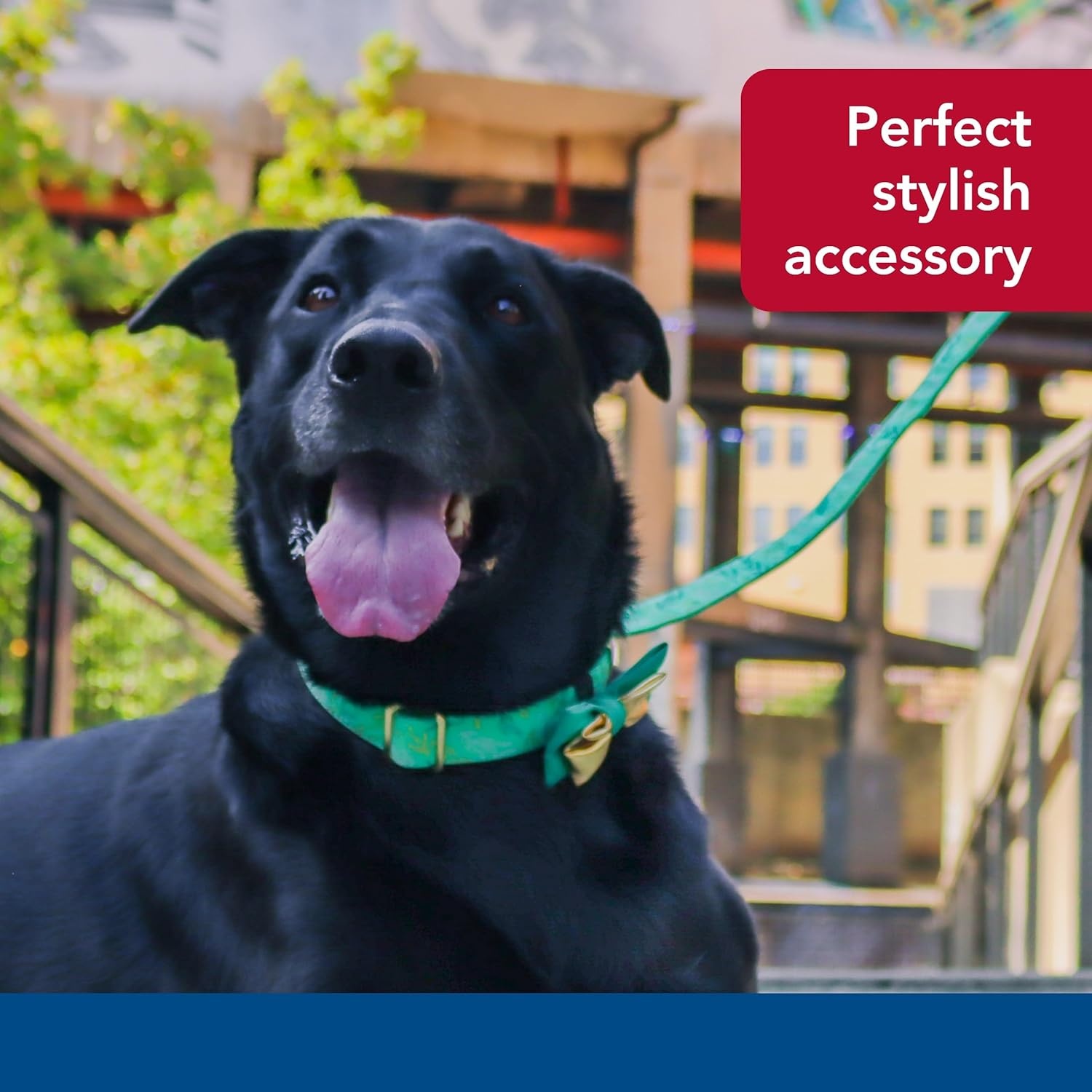image:imageCoastal Pet Accent Metallic Dog Collar Embellishment One Size Green BowtieGreen Bowtie