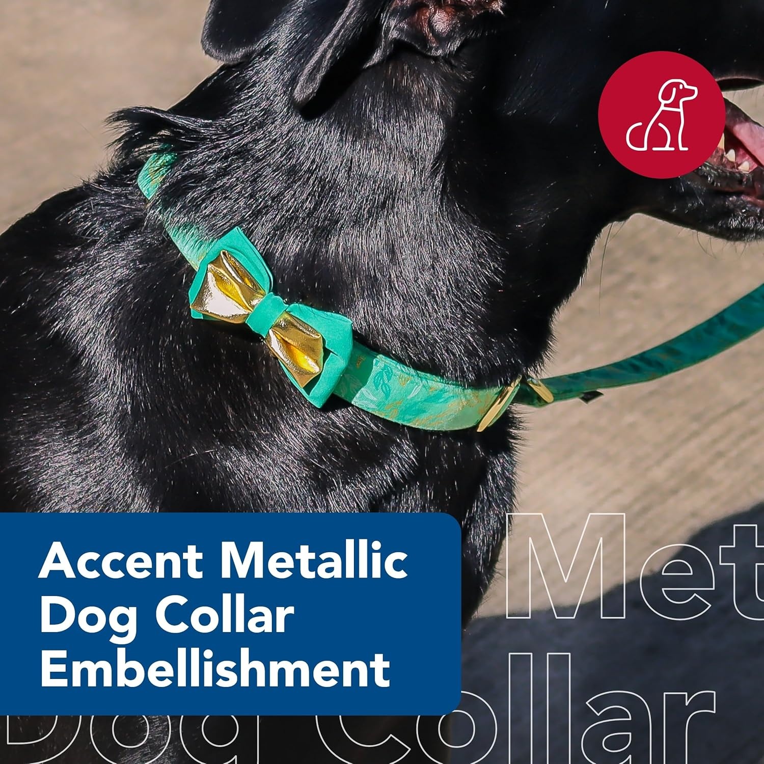 image:imageCoastal Pet Accent Metallic Dog Collar Embellishment One Size Green BowtieGreen Bowtie
