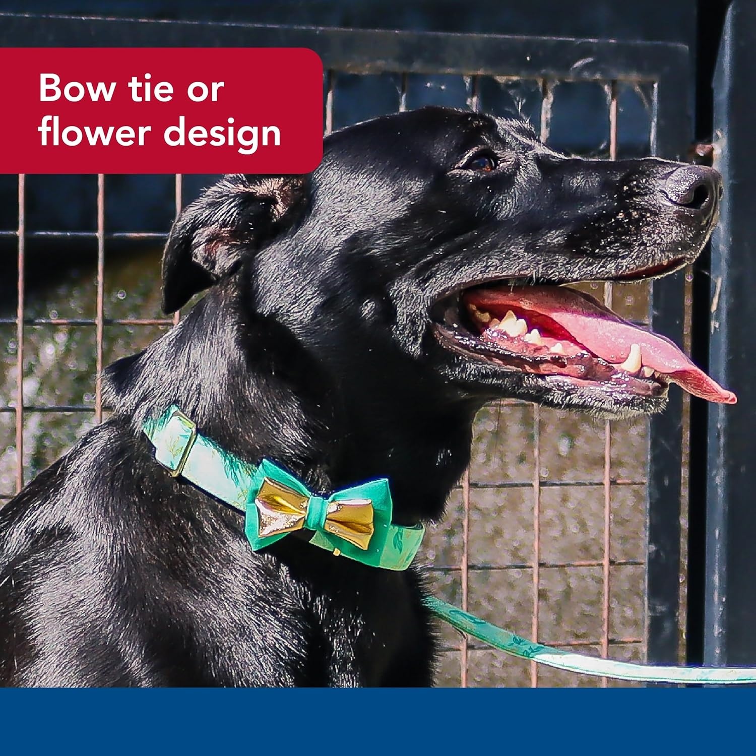 image:imageCoastal Pet Accent Metallic Dog Collar Embellishment One Size Green BowtieGreen Bowtie