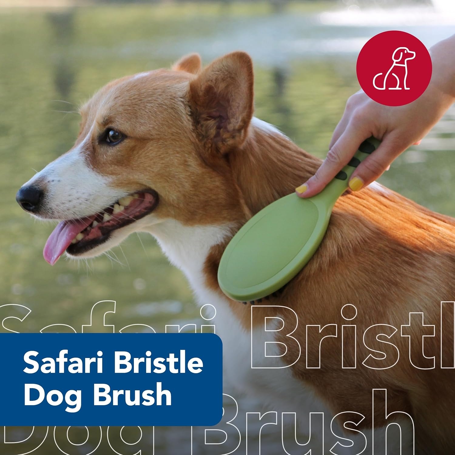 image:imageCoastal Pet Safari Bristle Dog Brush Brush Large 9 L x 2625 WLarge