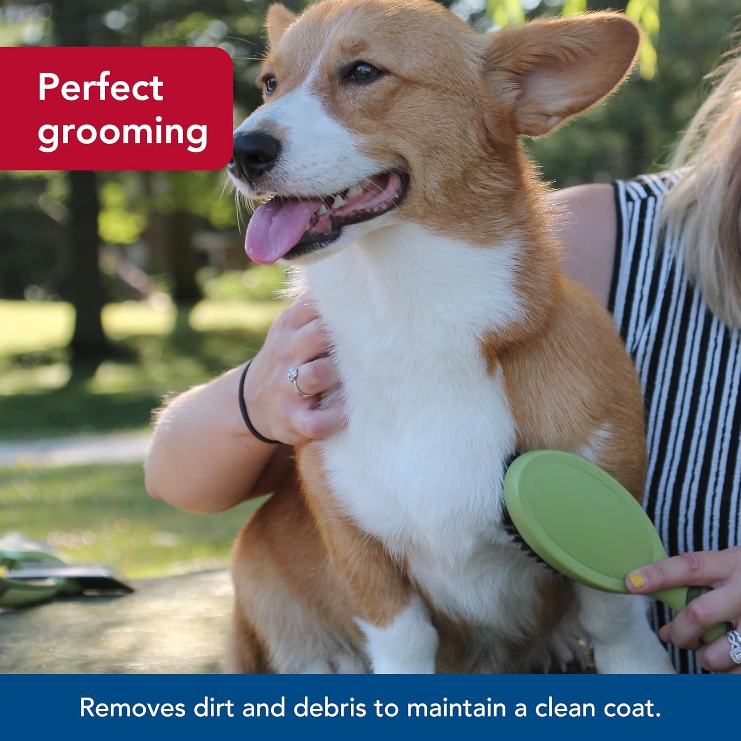 image:imageCoastal Pet Safari Bristle Dog Brush Brush Large 9 L x 2625 WLarge