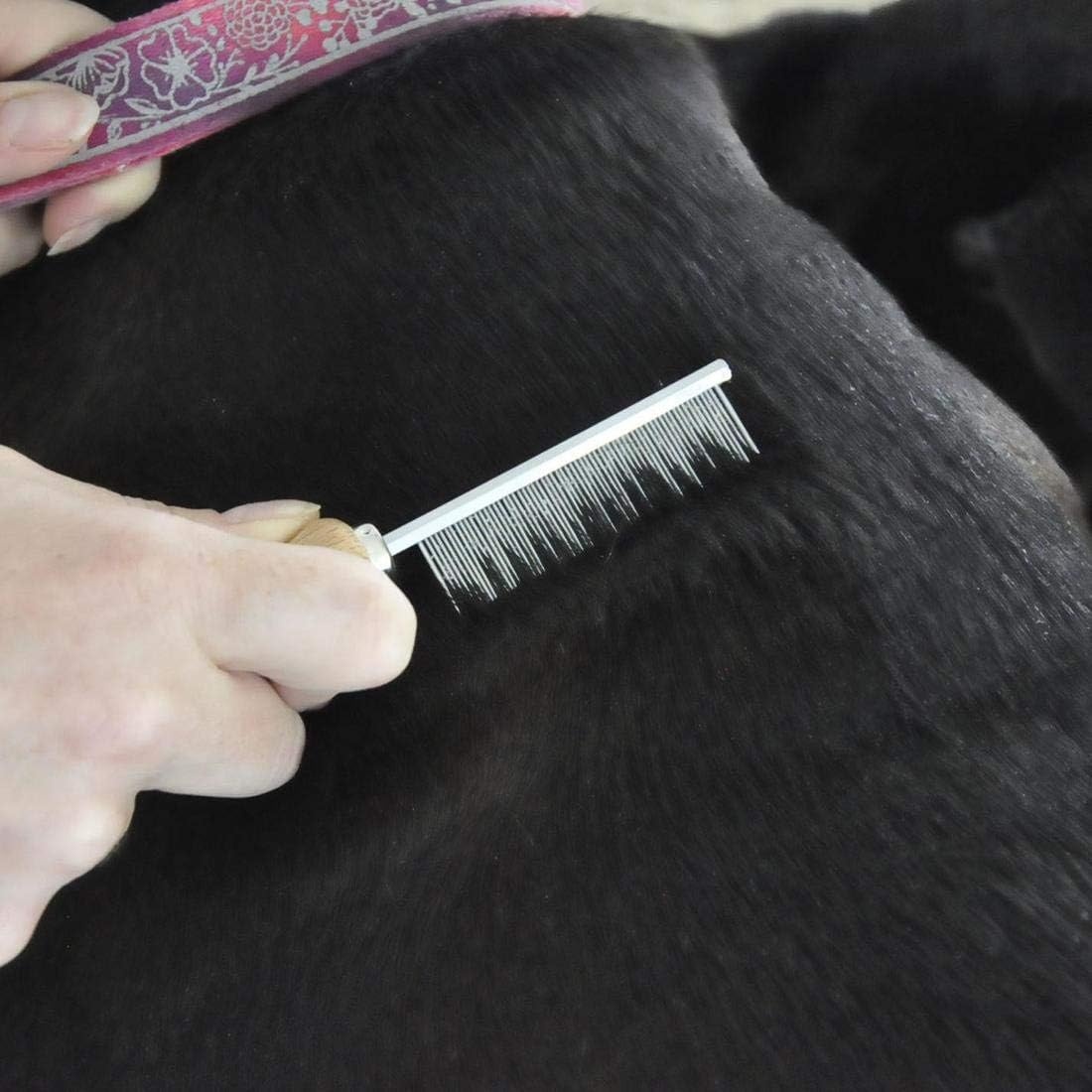 image:imageCoastal Pet Safari Dog Flea Comb Dog Grooming Supplies