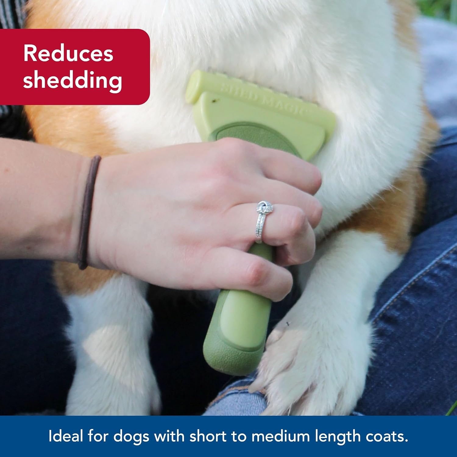 image:imageCoastal Pet Safari Shed Magic DeShedding Tool for Dogs with Short to Medium Hair No Color Medium 625 L x 35 WNO Color