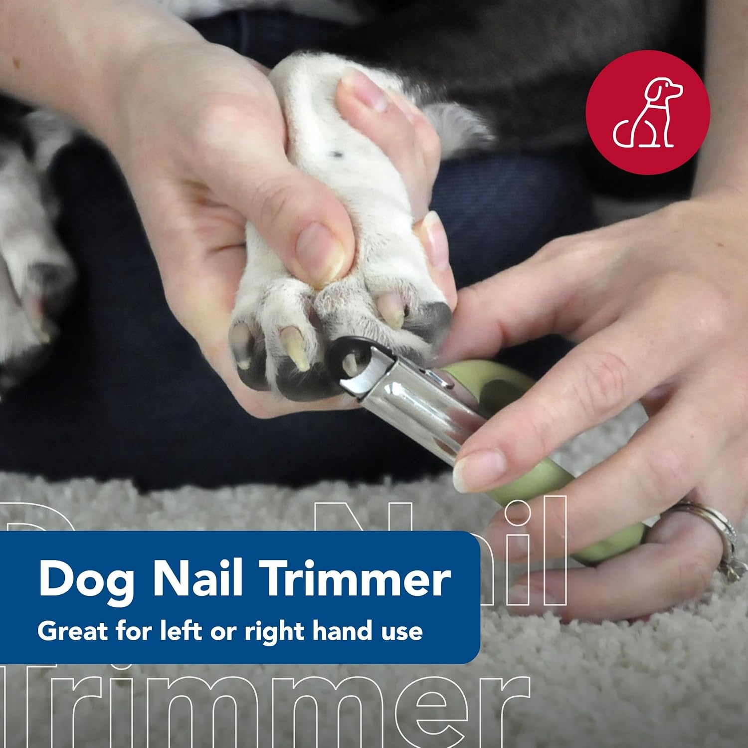 image:imageCoastal Pet Safari Guillotine Dog Nail Trimmer DoubleBladed Guillotine Style Dog Nail Trimmers OwnerFriendly Vinyl Grip for Small to Medium Dogs Small 5 L x 3 WSmall