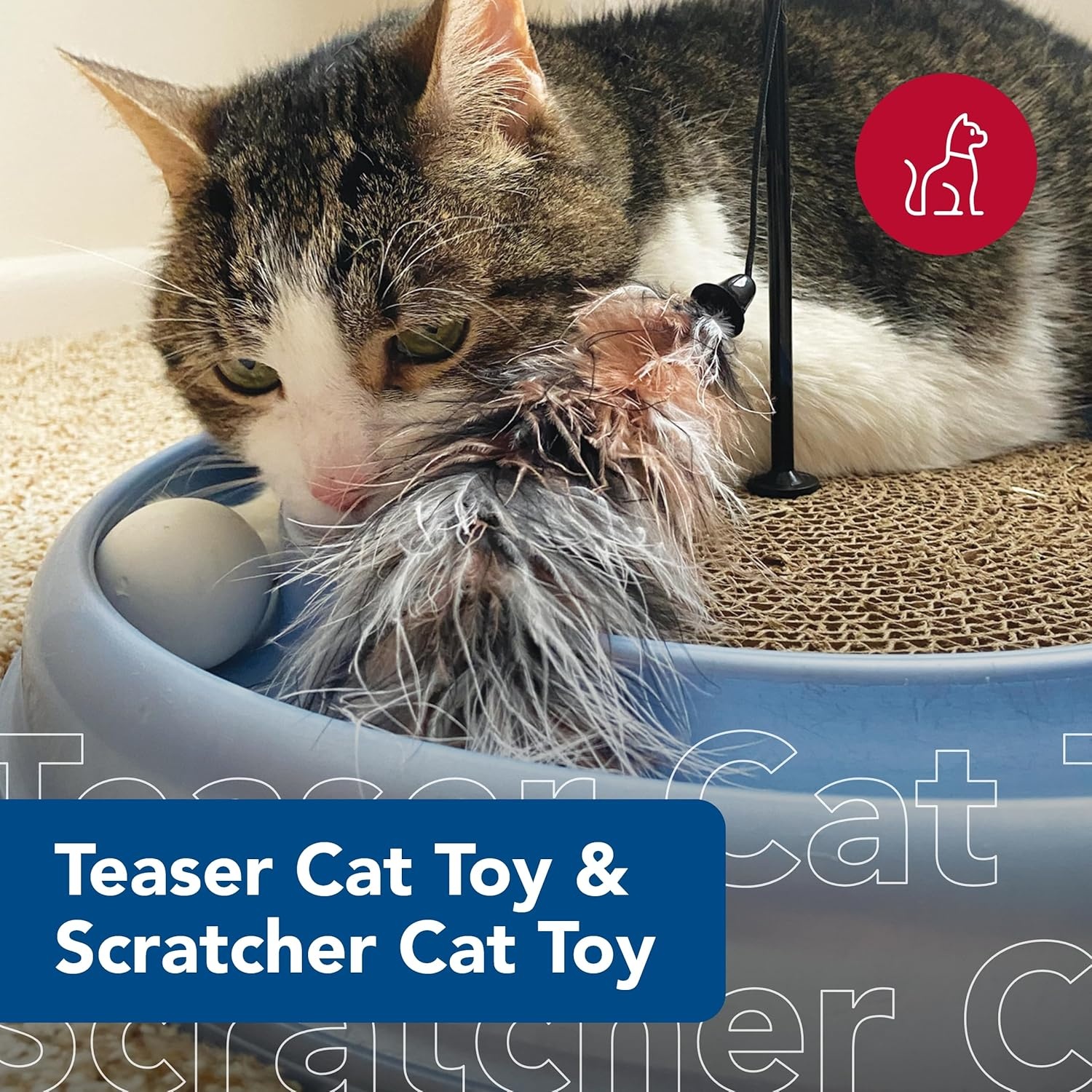image:imageCoastal Pet Turbo Pet Cat Bundle Teaser Cat Toy amp Scratcher Cat Toy