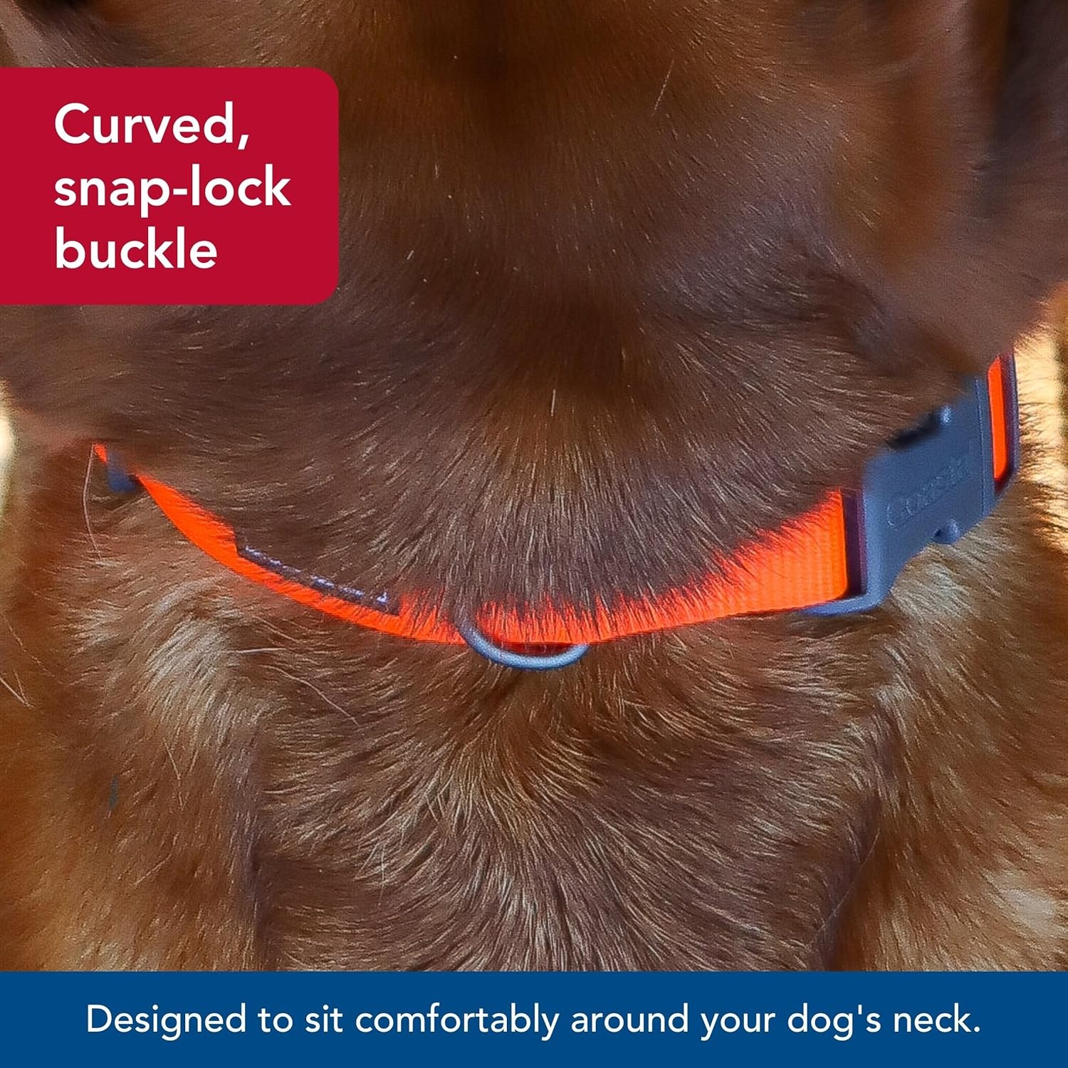 image:imageCoastal Pet Water amp Woods Adjustable Dog Collar Durable Dog Collar with Curved Snap Lock Buckle Patterned Collar for Dog Stylish amp Adjustable Safety Orange Medium 1 x 1420Safety Orange