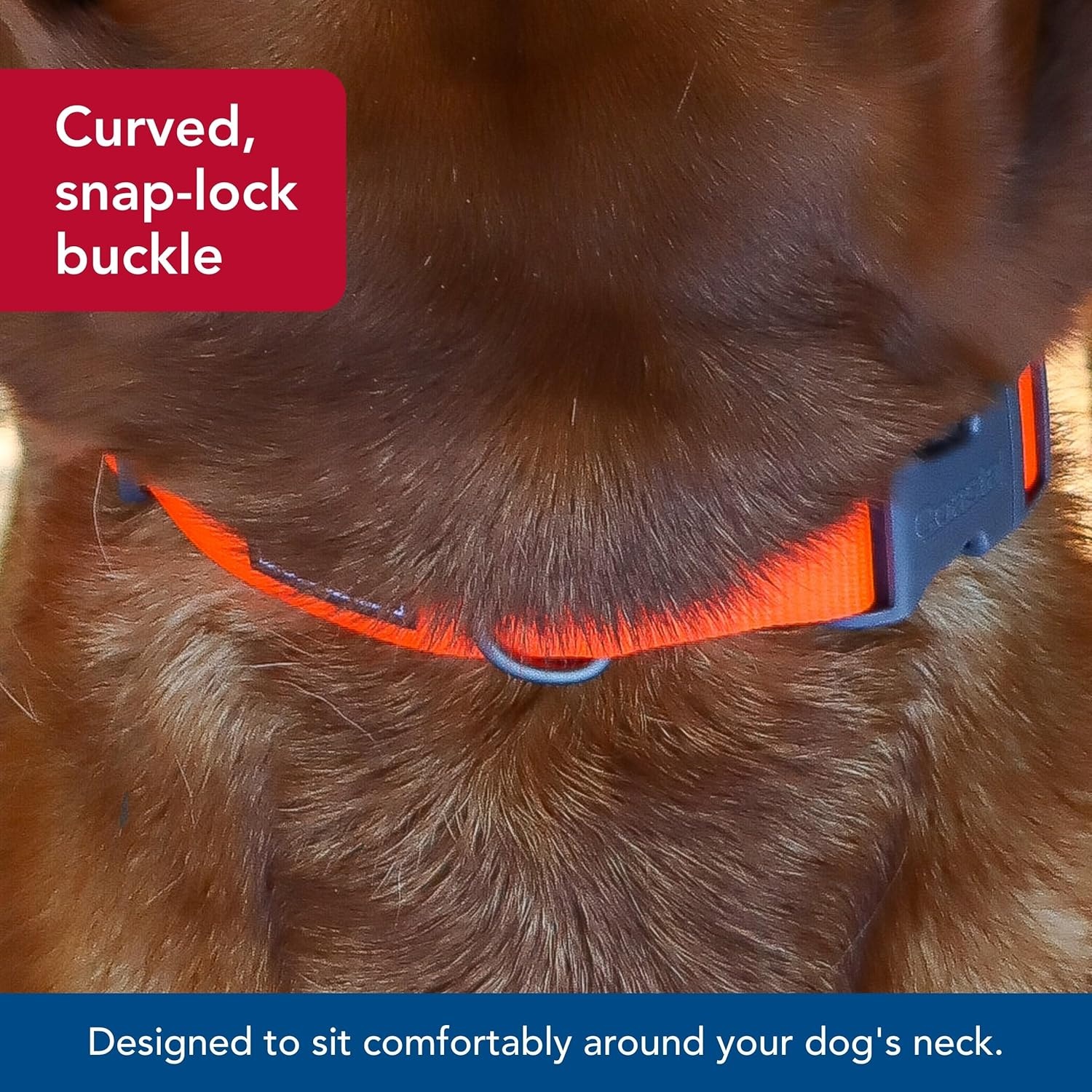 image:imageCoastal Pet Water amp Woods Adjustable Dog Collar Durable Dog Collar with Curved Snap Lock Buckle Patterned Collar for Dog Stylish amp Adjustable Safety Orange Medium 1 x 1420Safety Orange