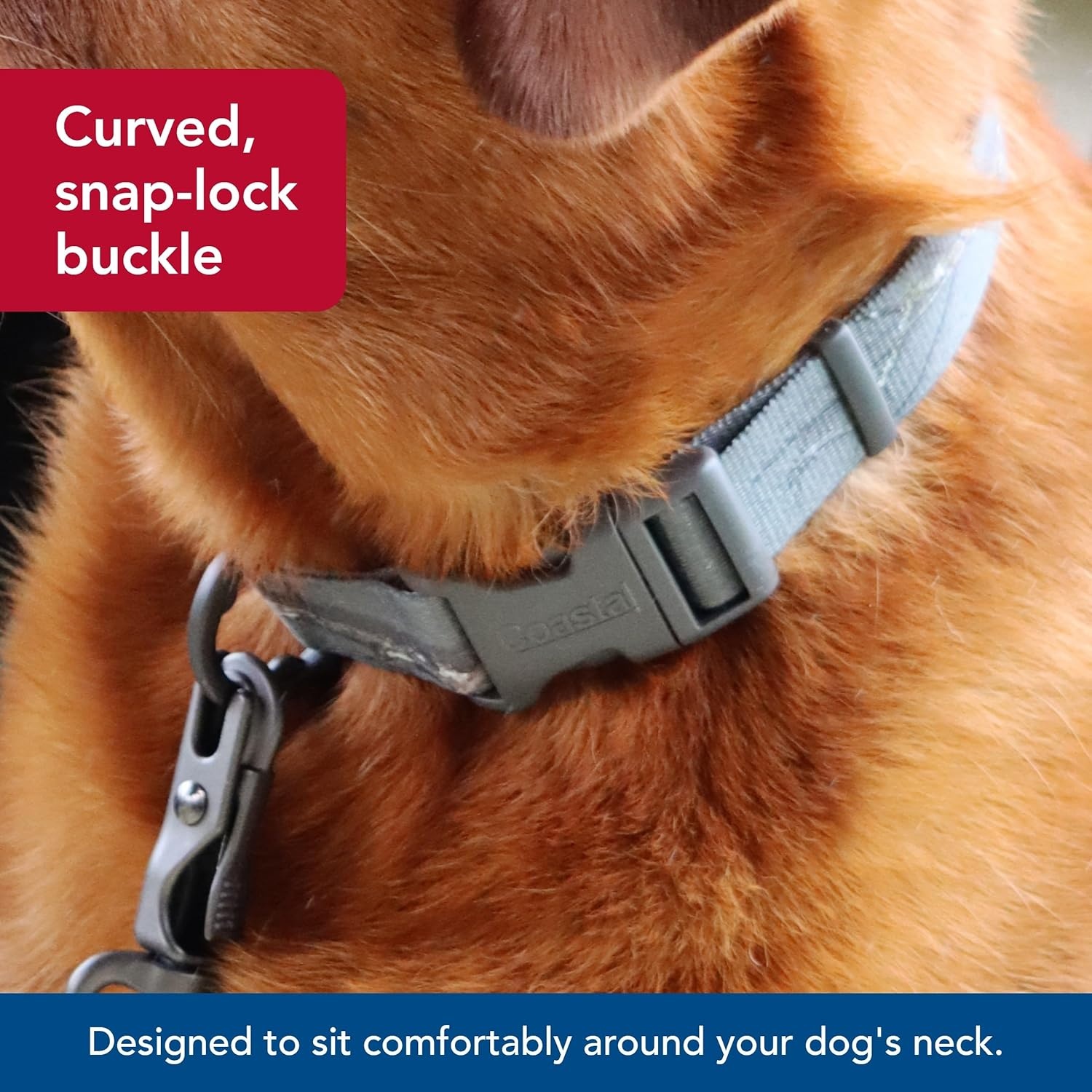 image:imageCoastal Pet Water amp Woods Adjustable Dog Collar Durable Dog Collar with Curved Snap Lock Buckle Patterned Collar for Dog Stylish amp Adjustable Safety Orange Medium 1 x 1420Country Roots Evergreen