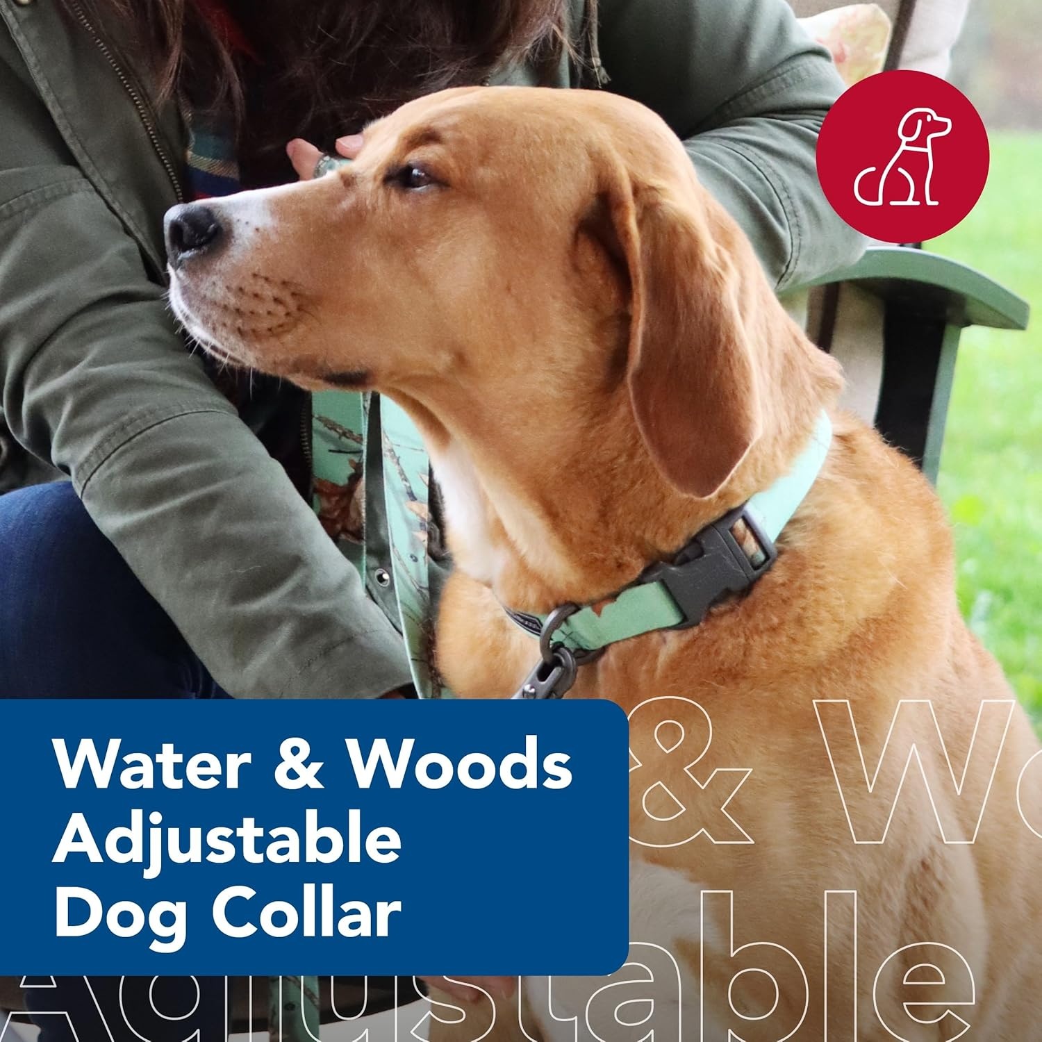 image:imageCoastal Pet Water amp Woods Adjustable Dog Collar Durable Dog Collar with Curved Snap Lock Buckle Patterned Collar for Dog Stylish amp Adjustable Safety Orange Medium 1 x 1420Country Roots Equinox