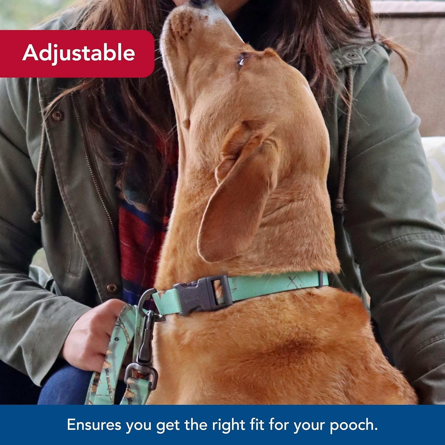 image:imageCoastal Pet Water amp Woods Adjustable Dog Collar Durable Dog Collar with Curved Snap Lock Buckle Patterned Collar for Dog Stylish amp Adjustable Safety Orange Medium 1 x 1420Country Roots Equinox