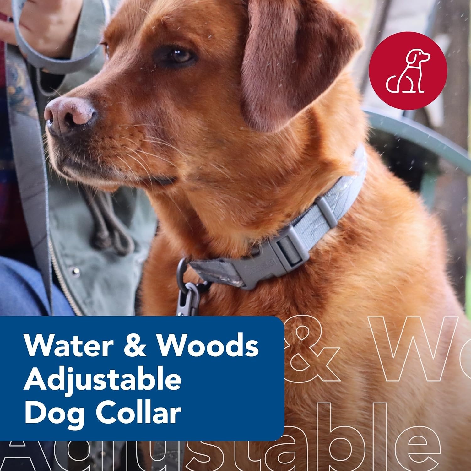 image:imageCoastal Pet Water amp Woods Adjustable Dog Collar Durable Dog Collar with Curved Snap Lock Buckle Patterned Collar for Dog Stylish amp Adjustable Safety Orange Medium 1 x 1420Country Roots Evergreen