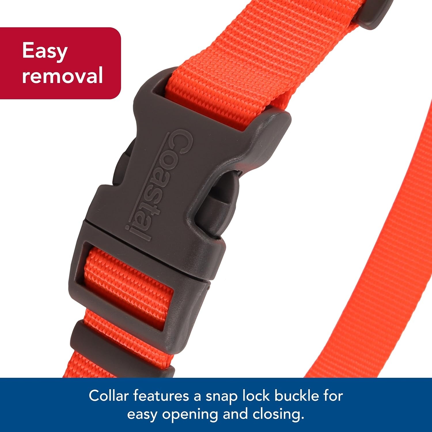 image:imageCoastal Pet Water amp Woods Adjustable Dog Collar Durable Dog Collar with Curved Snap Lock Buckle Patterned Collar for Dog Stylish amp Adjustable Safety Orange Medium 1 x 1420Safety Orange