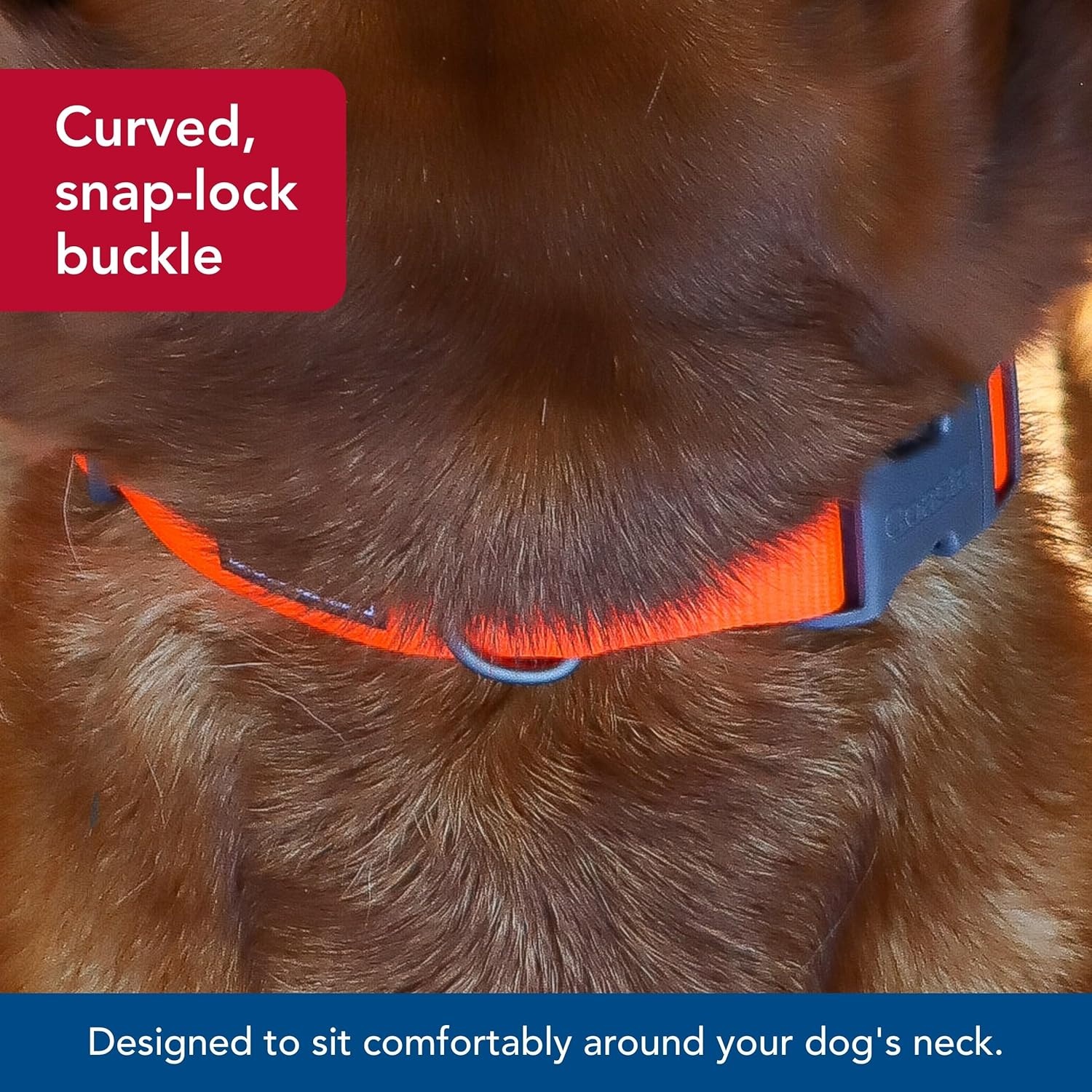 image:imageCoastal Pet Water amp Woods Adjustable Dog Collar Durable Dog Collar with Curved Snap Lock Buckle Patterned Collar for Dog Stylish amp Adjustable Safety Orange Medium 1 x 1420Safety Orange