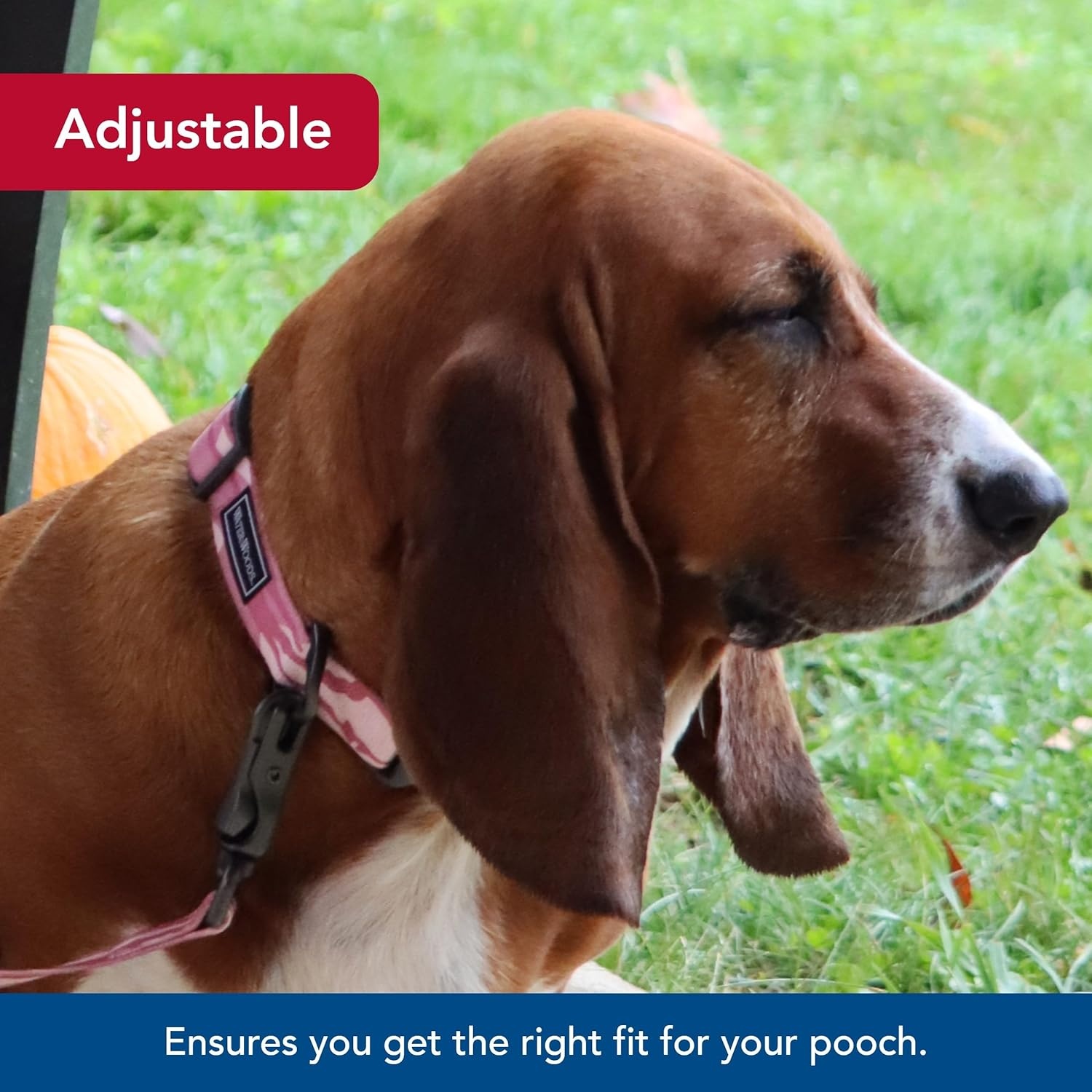 image:imageCoastal Pet Water amp Woods Adjustable Dog Collar Durable Dog Collar with Curved Snap Lock Buckle Patterned Collar for Dog Stylish amp Adjustable Safety Orange Medium 1 x 1420Bottomland Pink