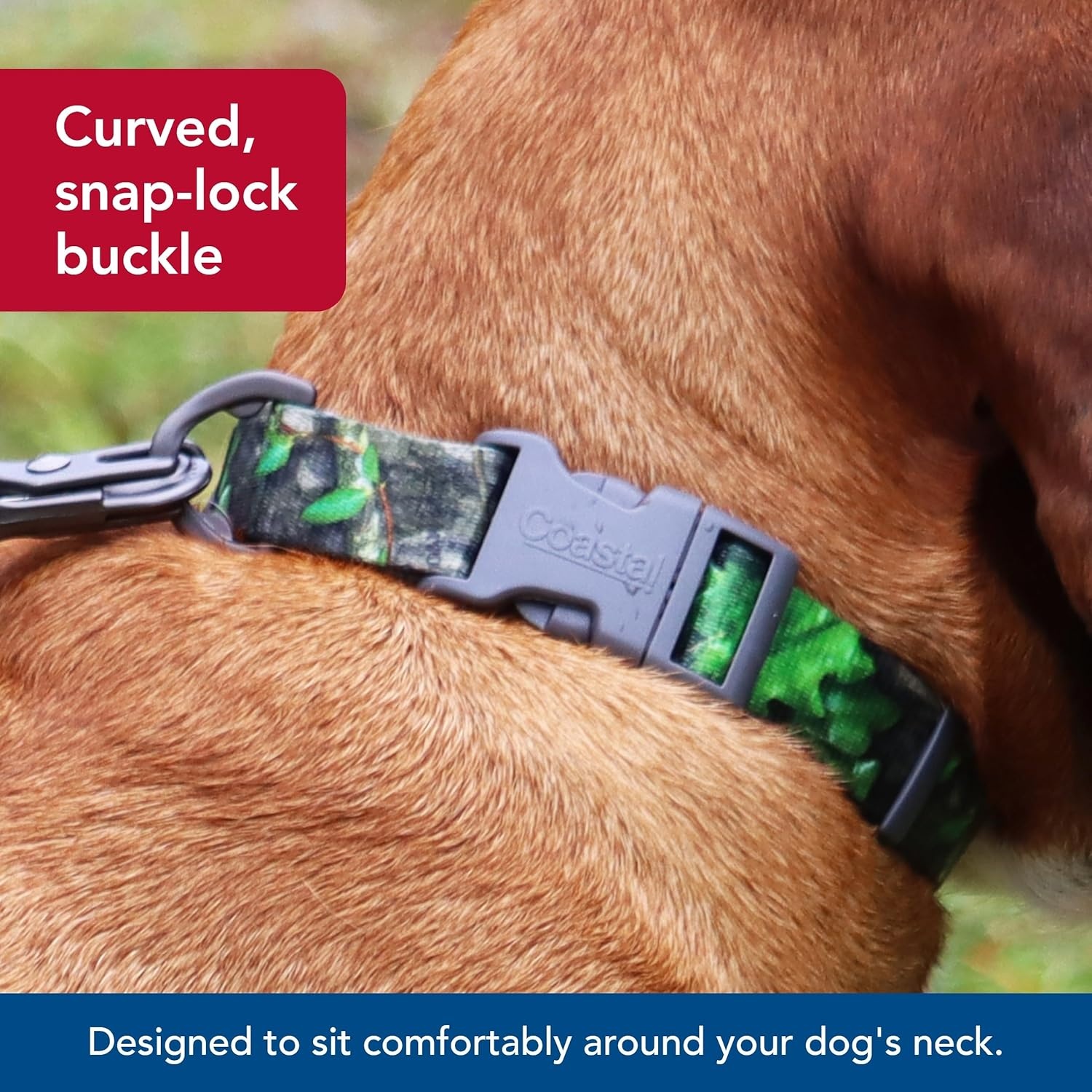 image:imageCoastal Pet Water amp Woods Adjustable Dog Collar Durable Dog Collar with Curved Snap Lock Buckle Patterned Collar for Dog Stylish amp Adjustable Safety Orange Medium 1 x 1420NWTF Obsession